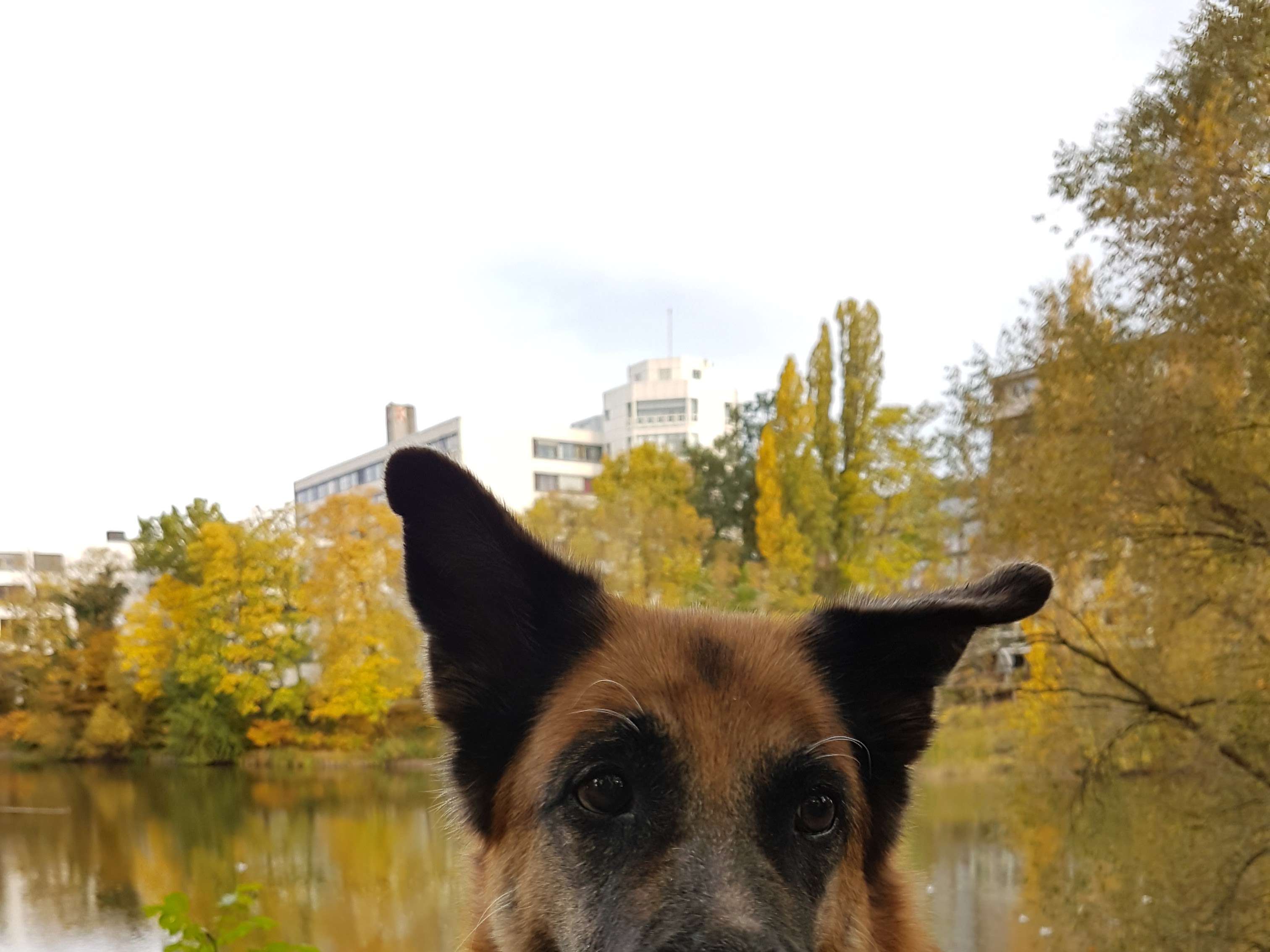 Ansicht 1 von Kleintierpraxis Habenhausen