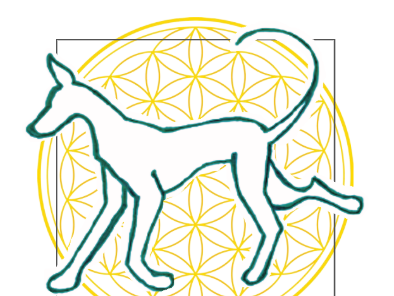 Ansicht 1 von Osteopathie und Chiropraktik für Kleintiere - Tierärztin Marie Vogley