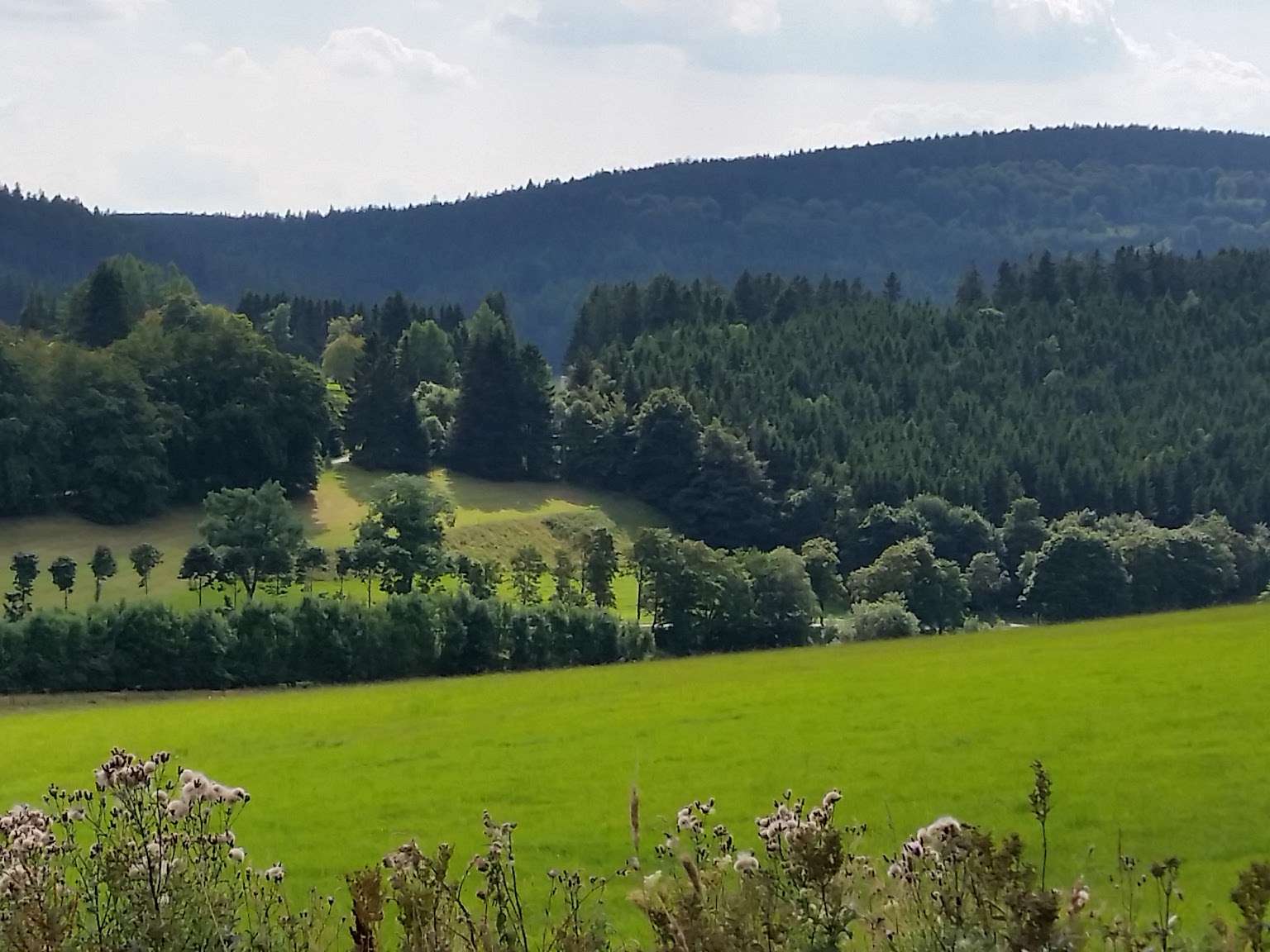 Ansicht 1 von Tierärztliche Praxis für Groß- und Kleintiere Carolin Stolpe