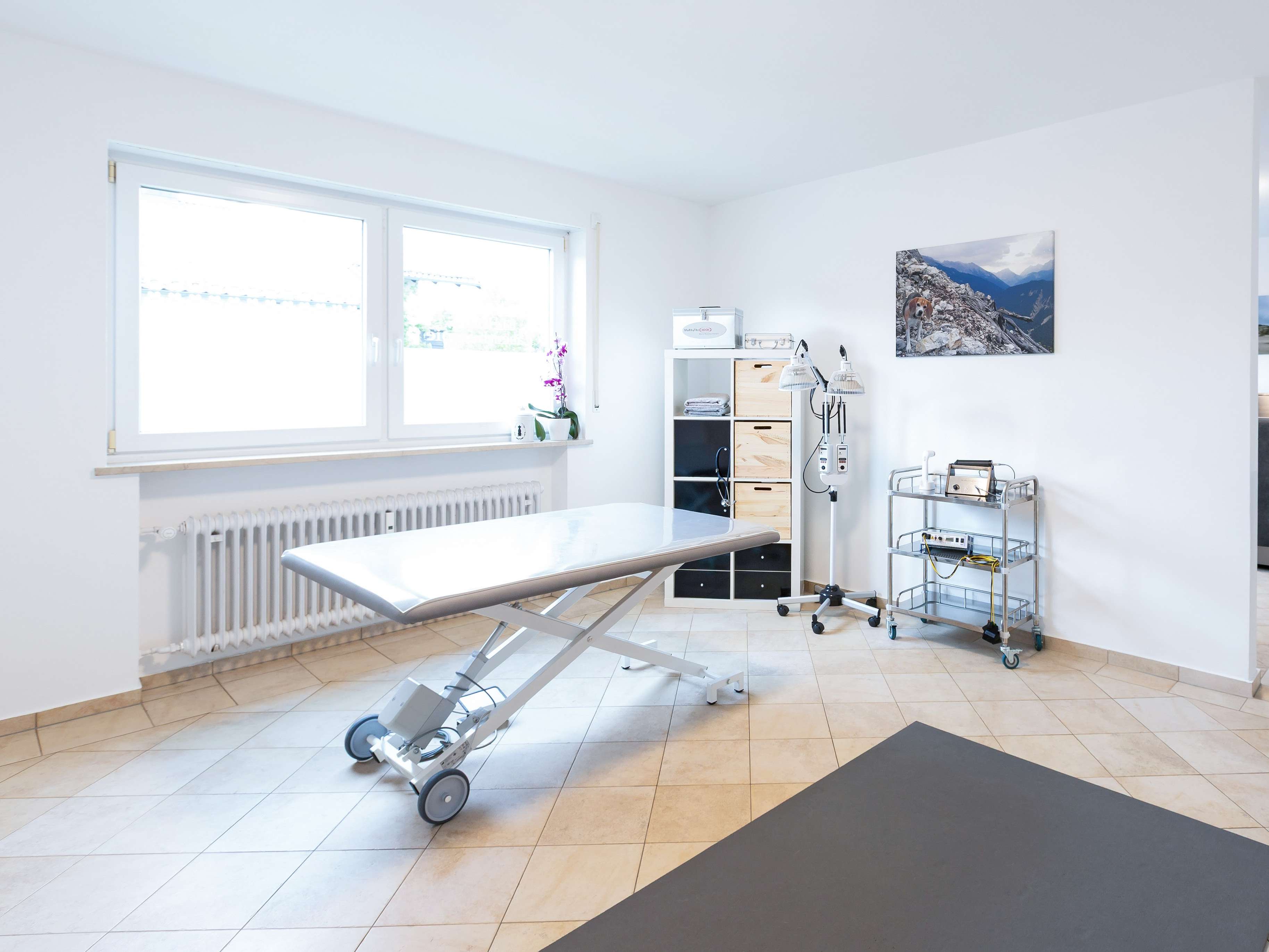Ansicht 1 von Tierphysiotherapie am Schlossberg