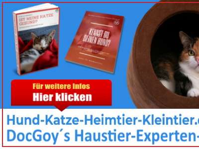 Ansicht 1 von online Haustier Experten Portal