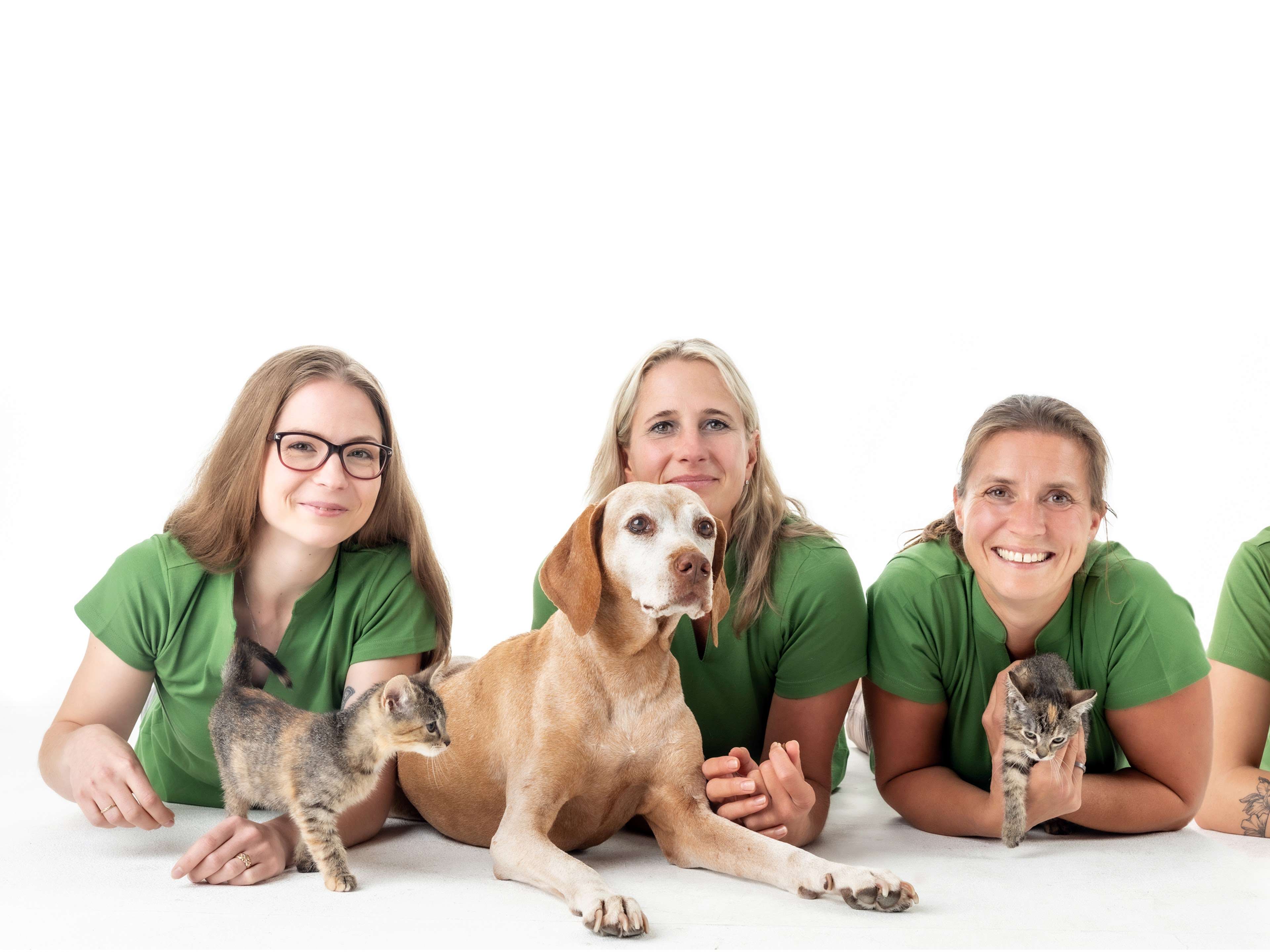 Ansicht 1 von VET-Erfurt - Fachpraxis für Kleintiermedizin Erfurt Dr.Kammlott&Rotsche