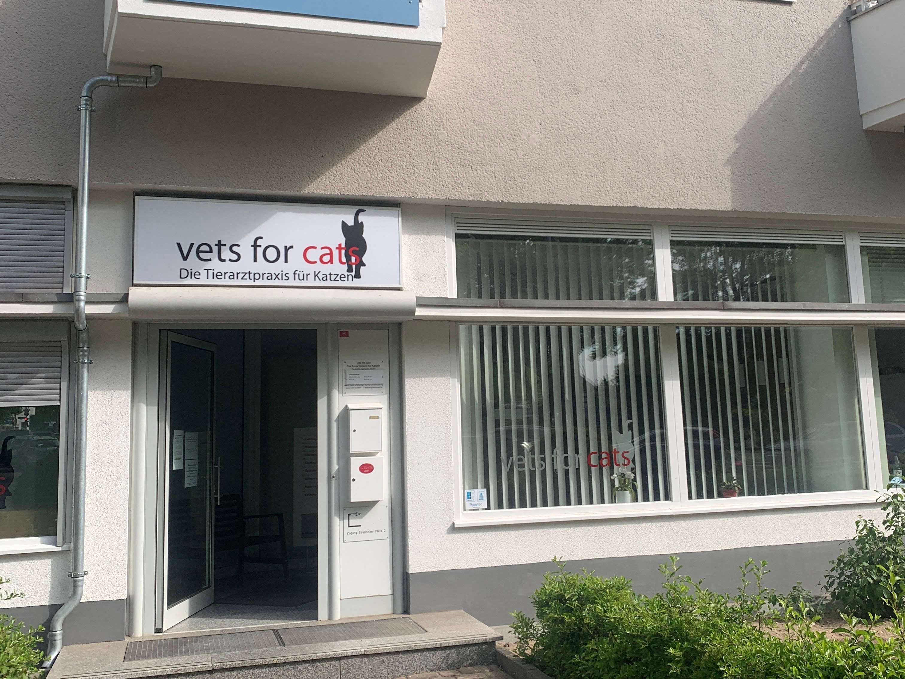 Ansicht 5 von Tierarzt Berlin, vets for cats Berlin - Tierarztpraxis für Katzen