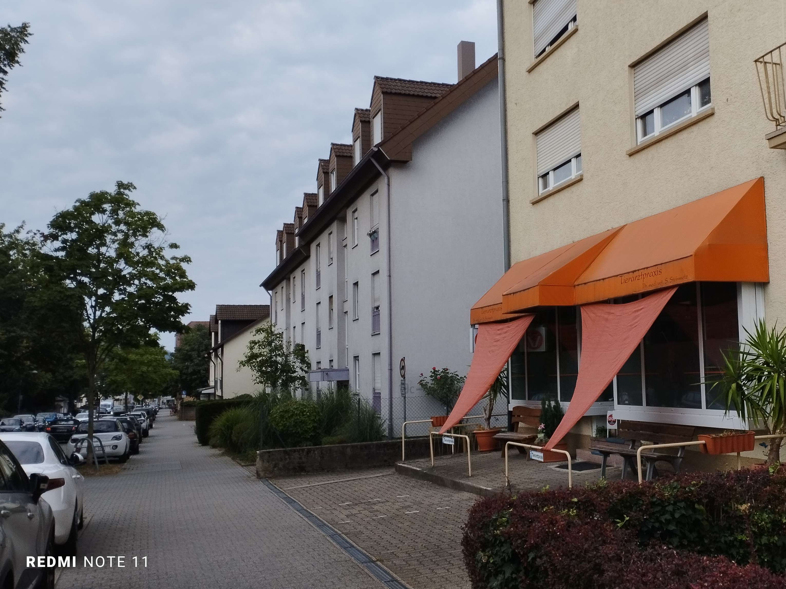 Ansicht 2 von Tierarztpraxis Dr. Sabine Steinmetz