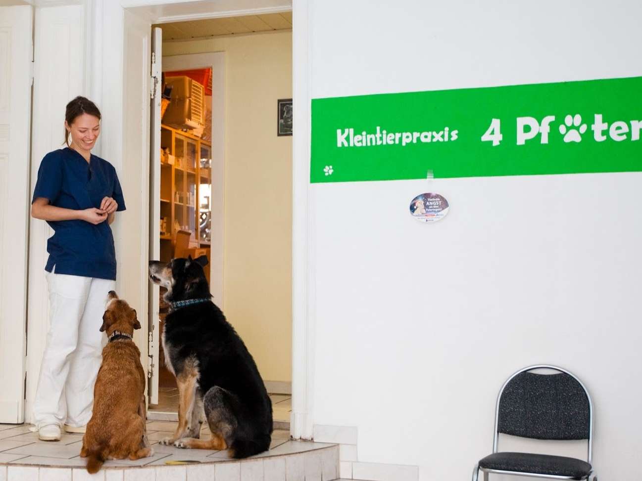 Ansicht 3 von Kleintierpraxis 4 Pfoten & Co.