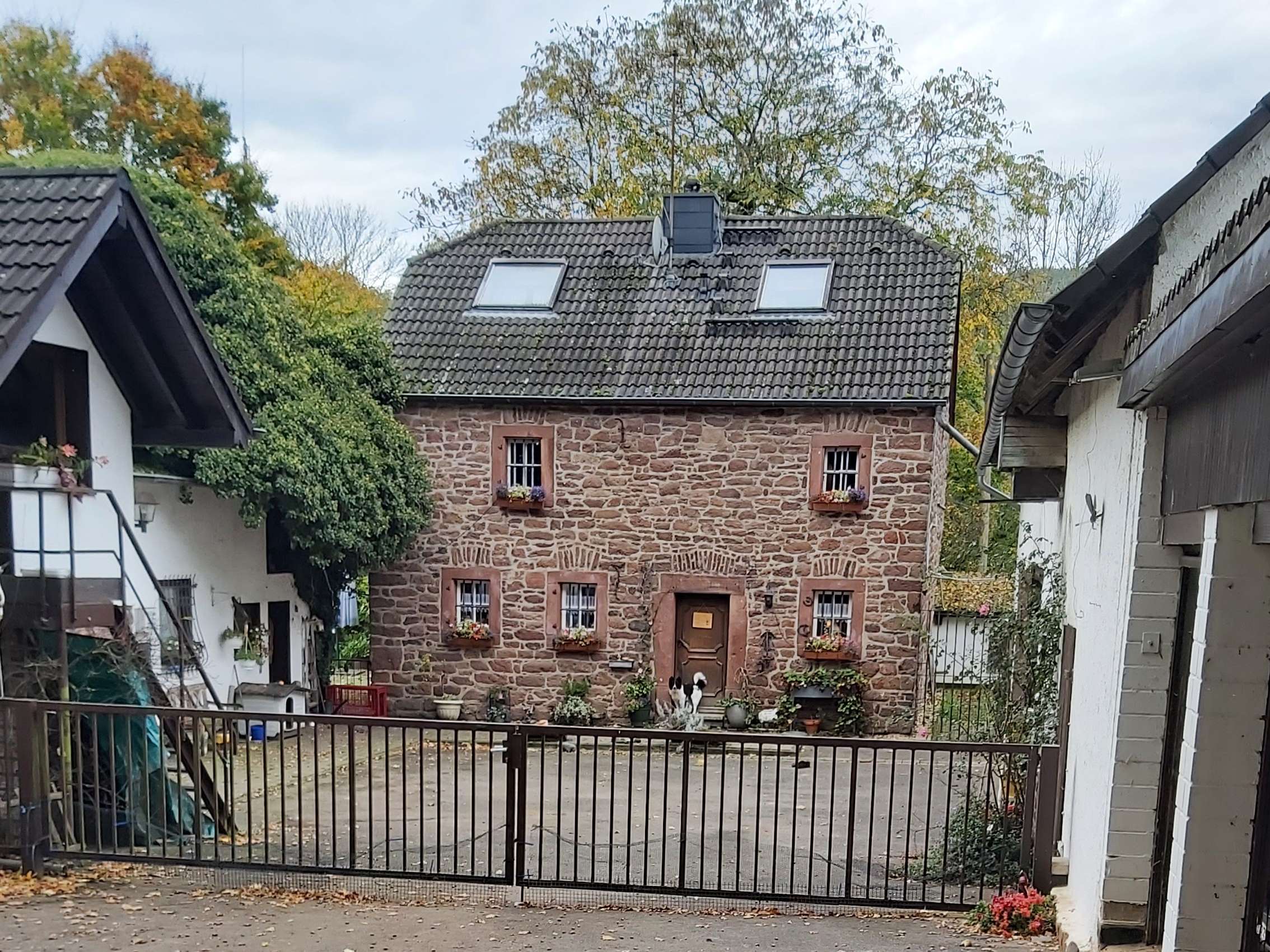 Ansicht 1 von Hermann-Josef Zentis Tierarzt