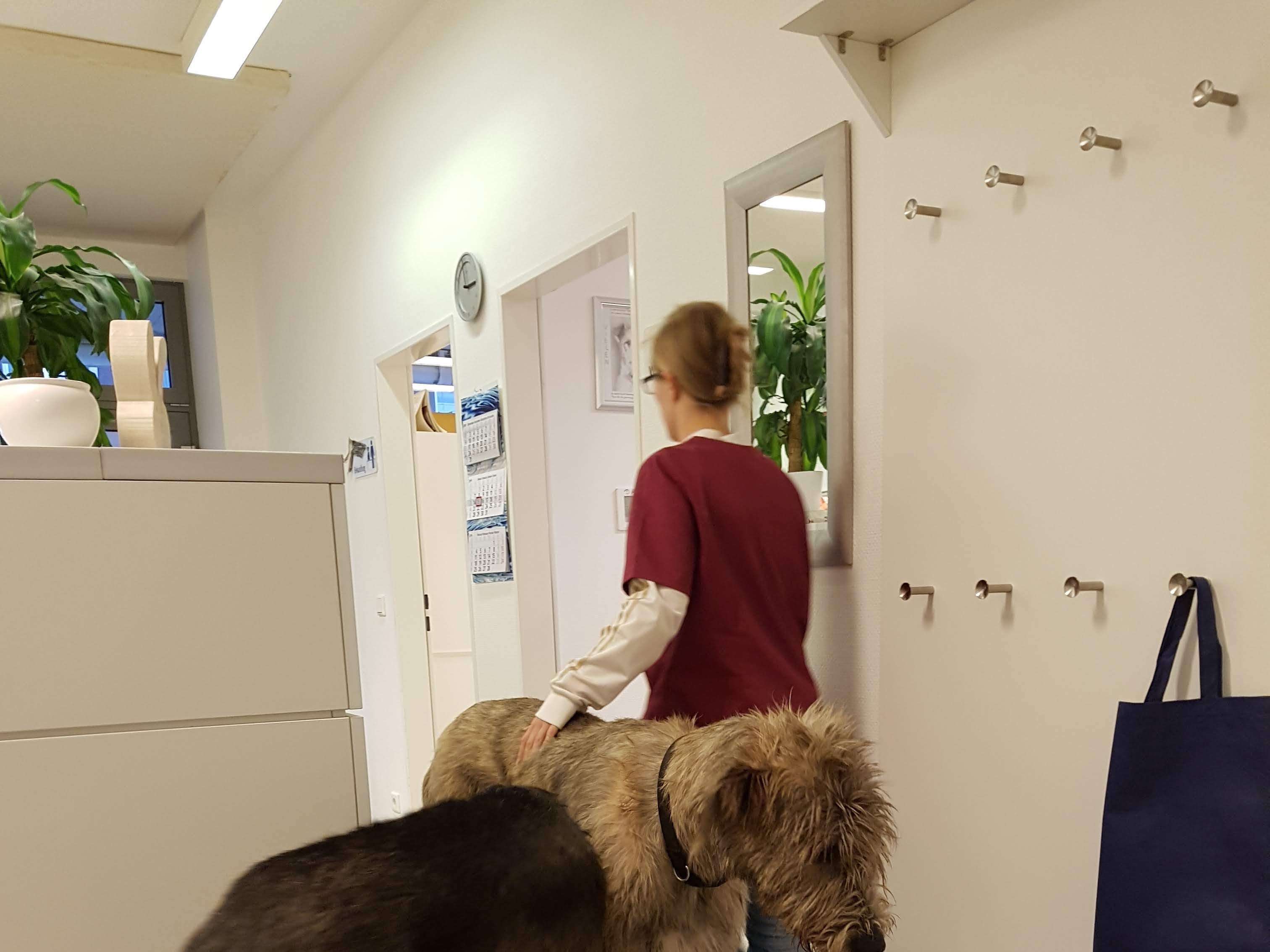 Ansicht 3 von Tierarztpraxis Dr.med.vet. Gisela Haverkamp