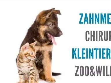 Ansicht 1 von Tierarzt Dr. Seewald - Chirurgische Fachpraxis