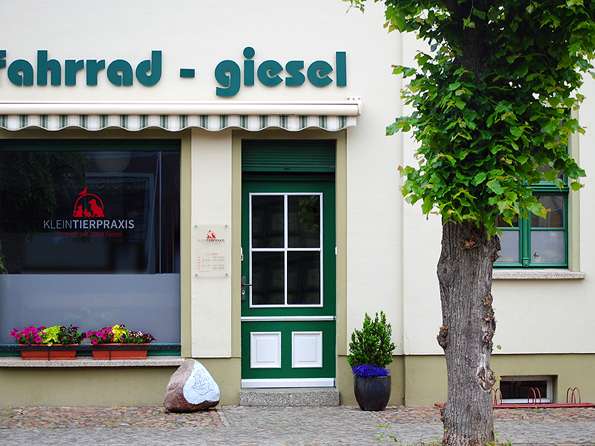 View 1 of Jana Giesel