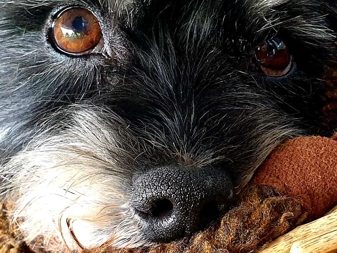 Ansicht 5 von Dr. med. vet. Wolf Kaser - Bergisch Gladbach