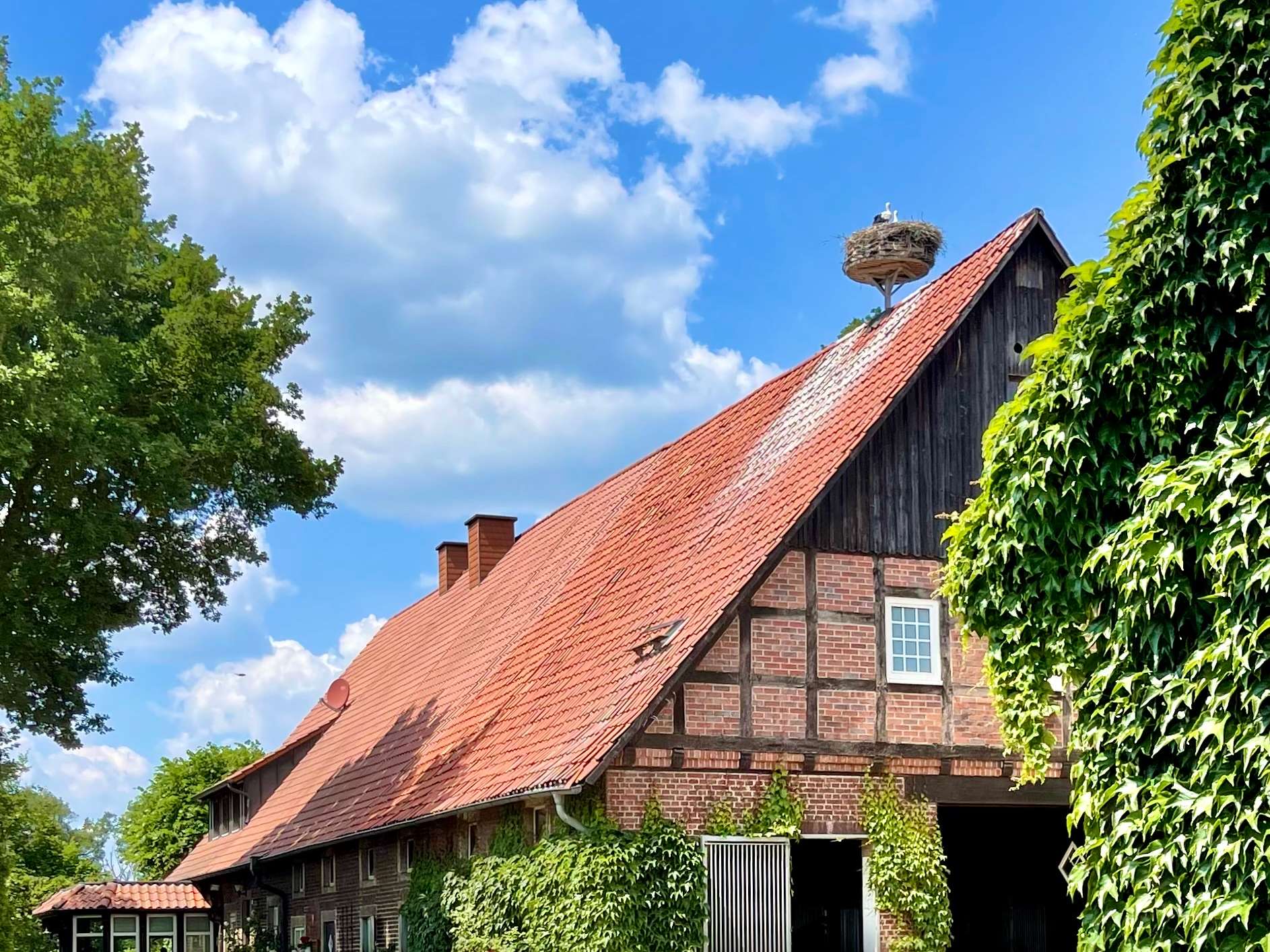 Ansicht 1 von Dr. Lutz Ahlswede