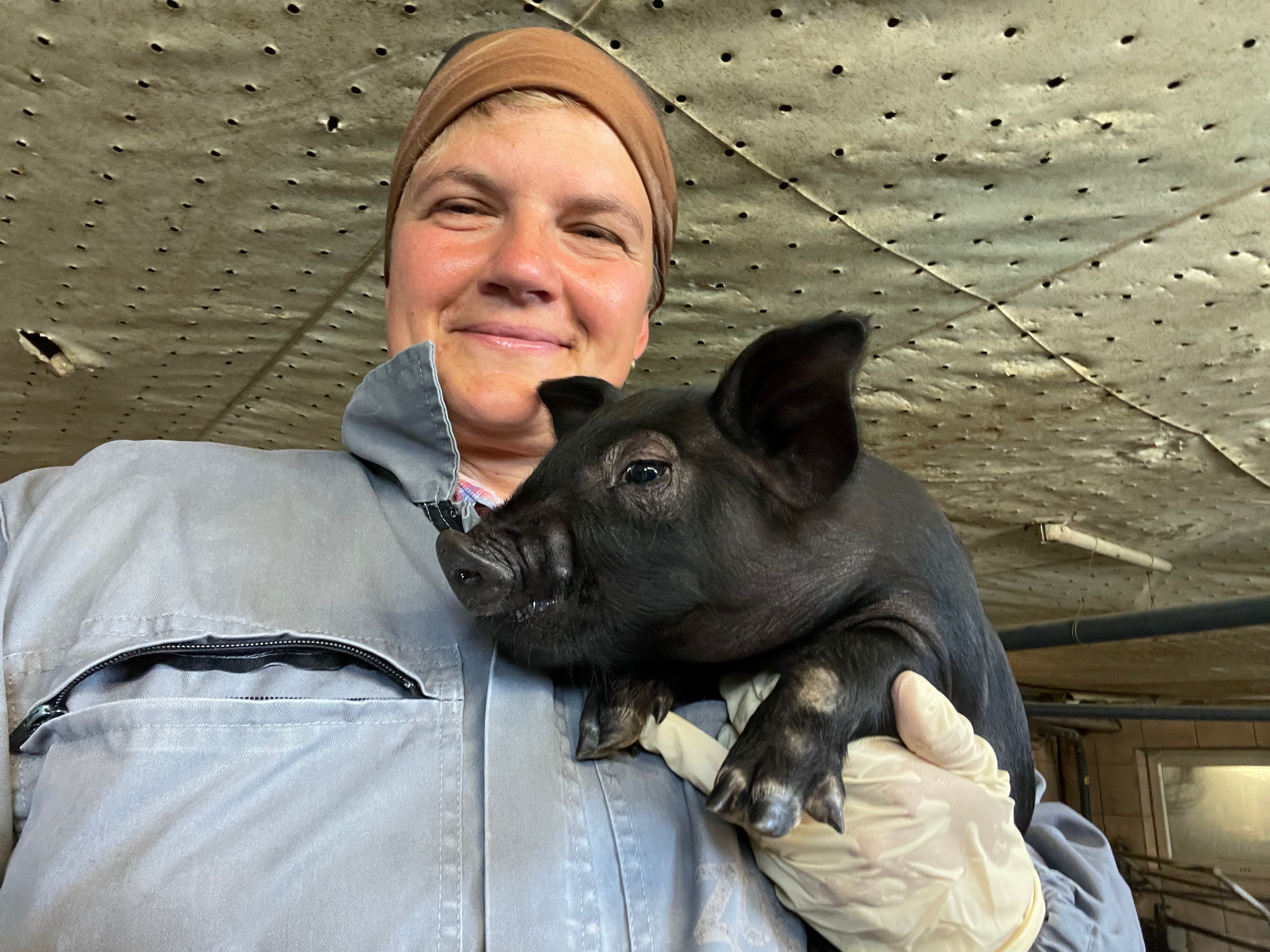 View 3 of Tierarztpraxis für Schweine Charlotte Schlenker
