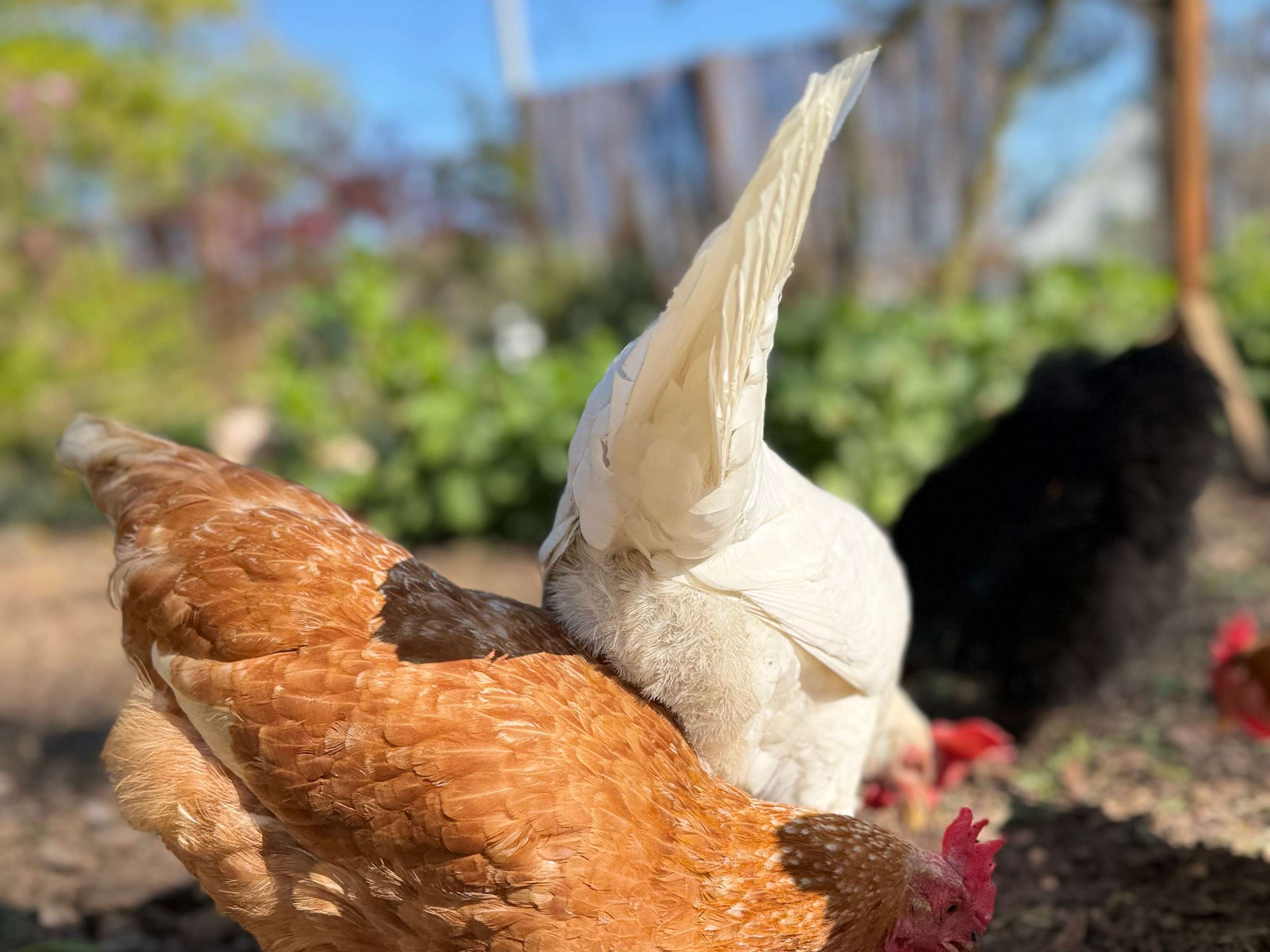 Ansicht 2 von Tierarztpraxis Torsten Lammer
