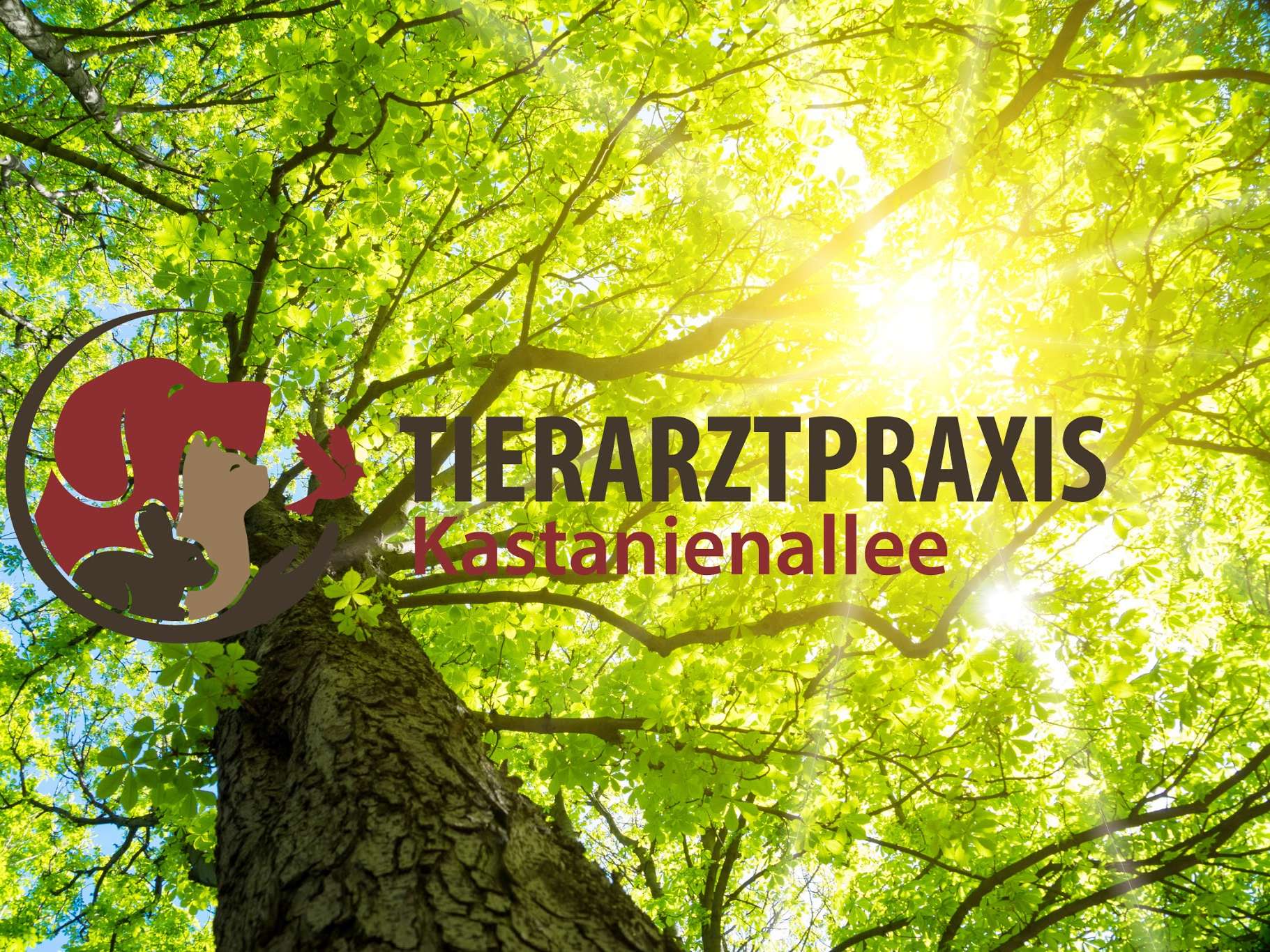 Ansicht 1 von Tierarztpraxis Kastanienallee