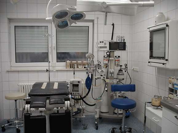 Ansicht 1 von Dr. med. vet. Roland Graen