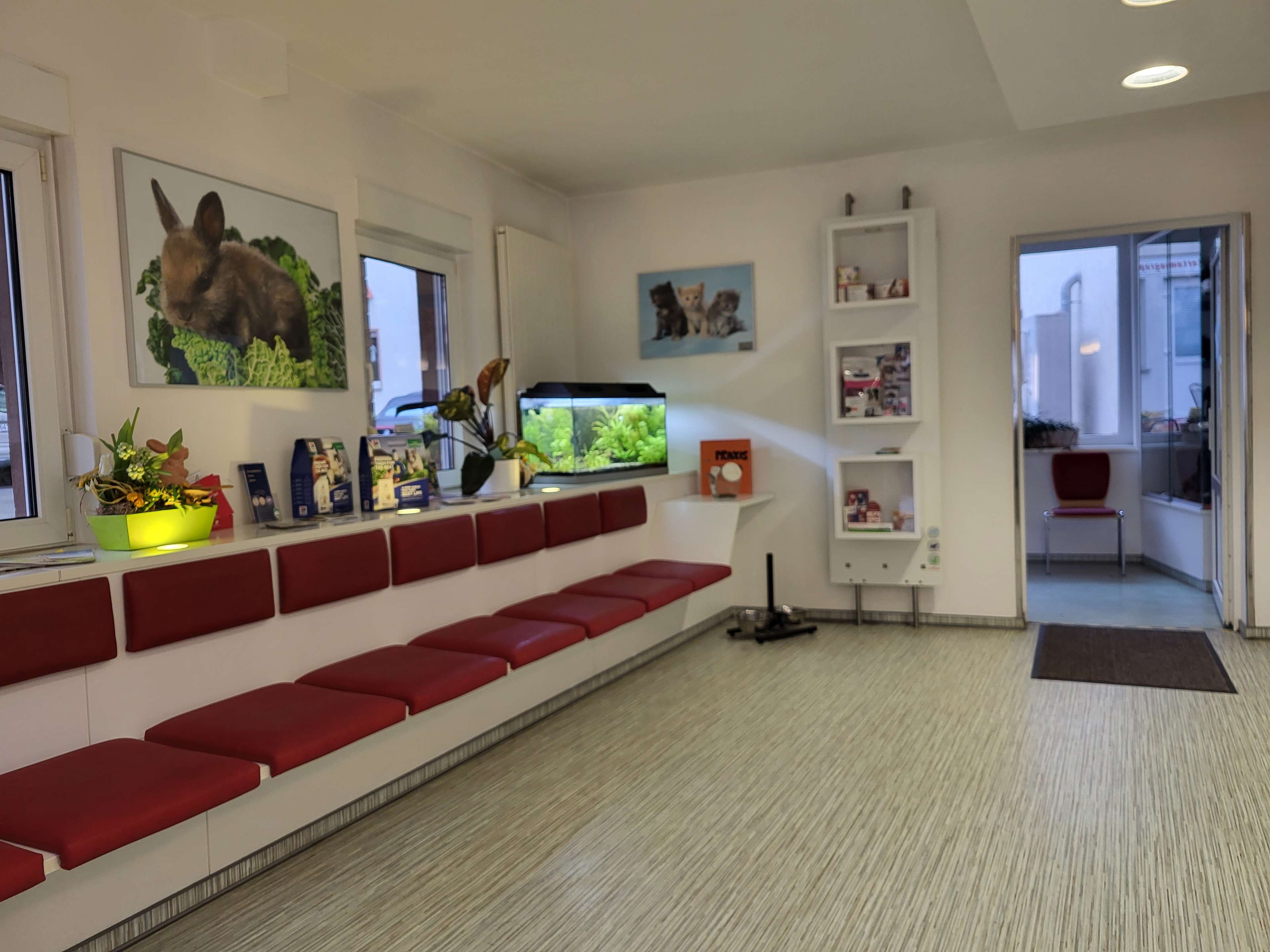 Ansicht 2 von Fachtierarzt-Zentrum fur Kleintiere Dr. Bodo Kröll, Dr. Janin Kröll & Kollegen