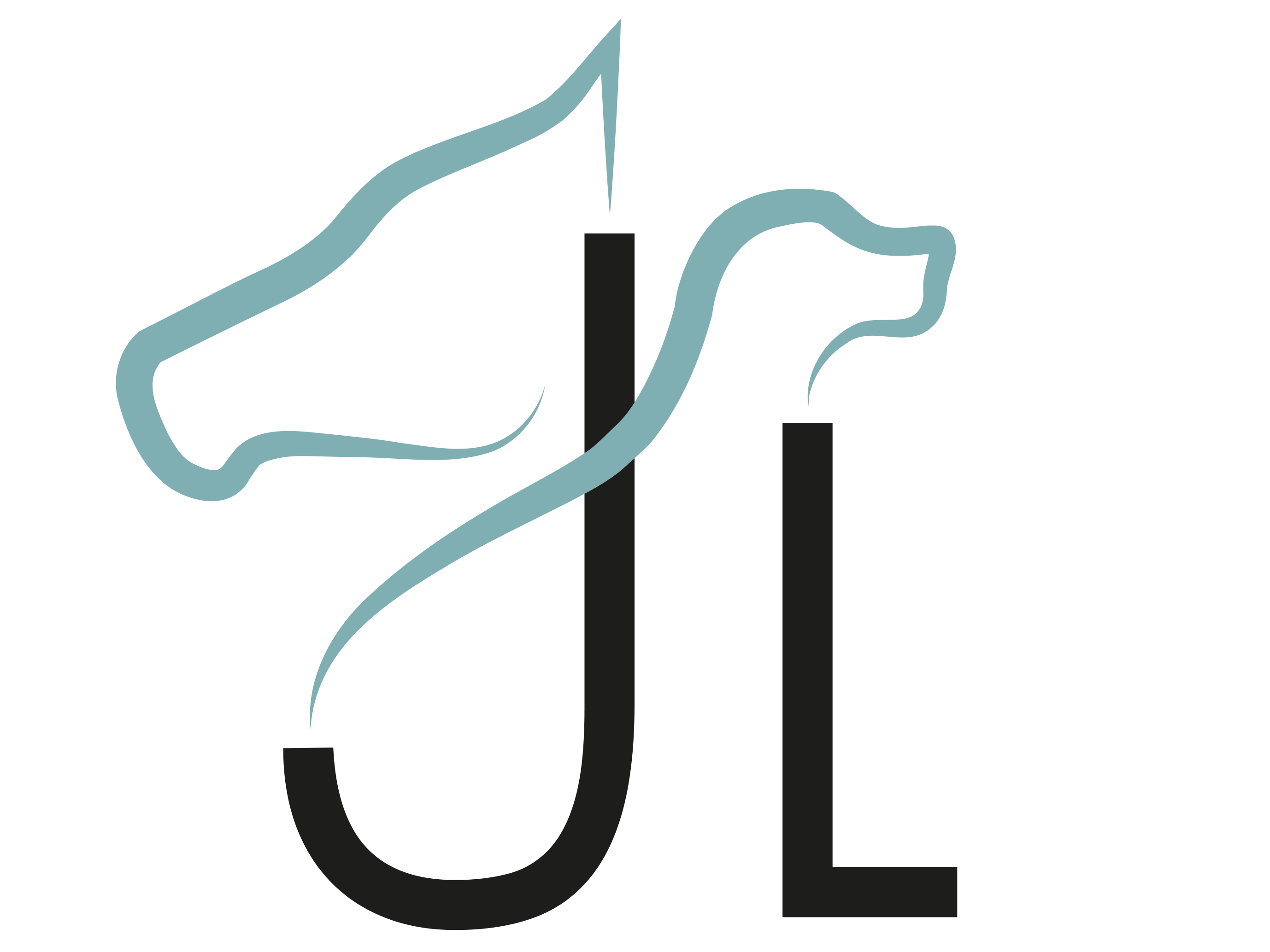 Ansicht 1 von Julia Langenbuch Tierärztin für Osteopathie und Faszientraining beim Pferd