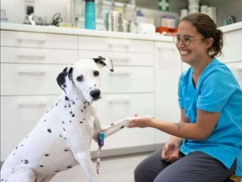 Ansicht 1 von Tierärztin Dr. Laura Rebuzzi