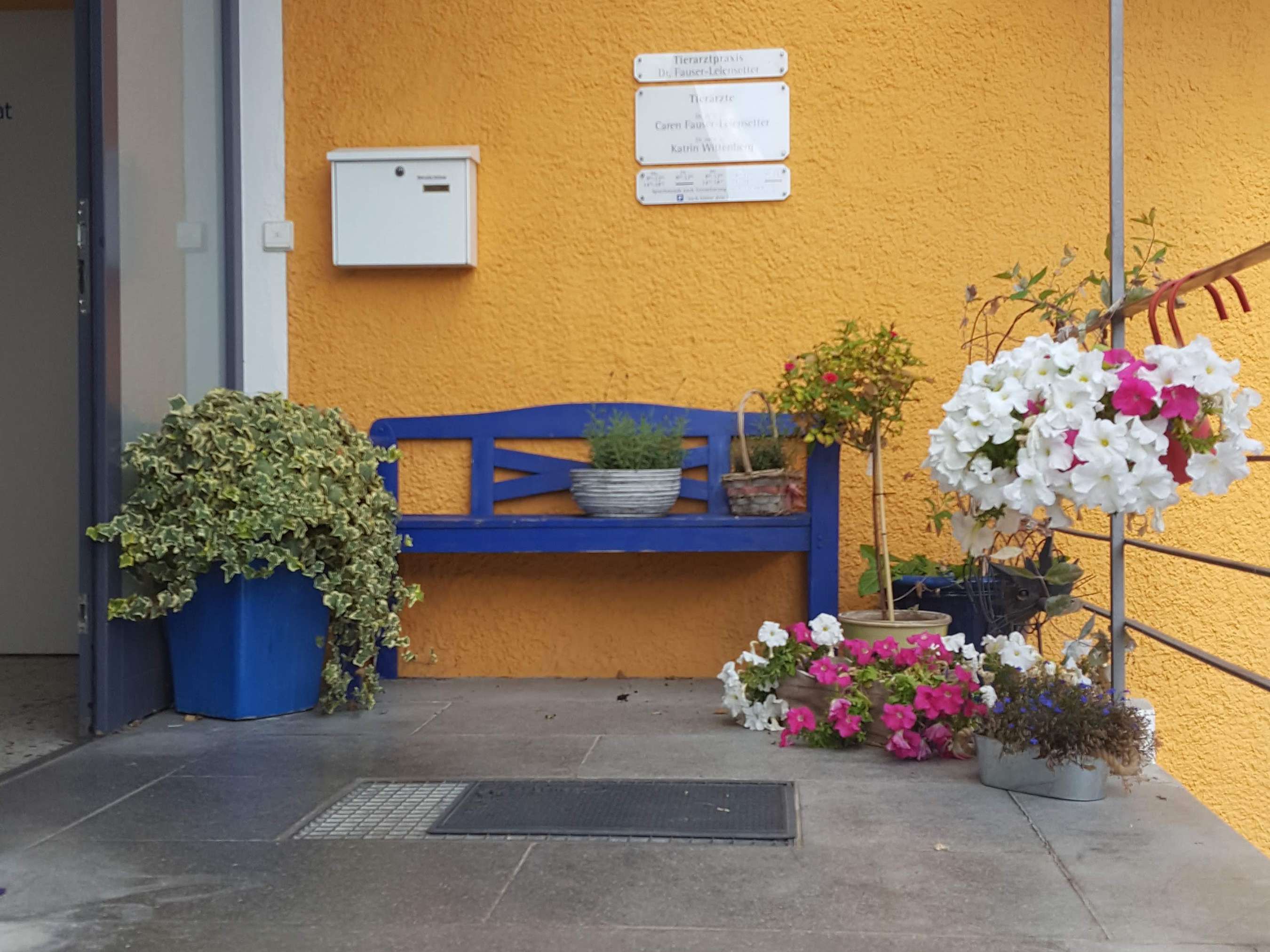 Ansicht 3 von Tierarzt Reutlingen Tierarzt Tübingen Dr. med. vet. Caren Fauser-Leiensetter