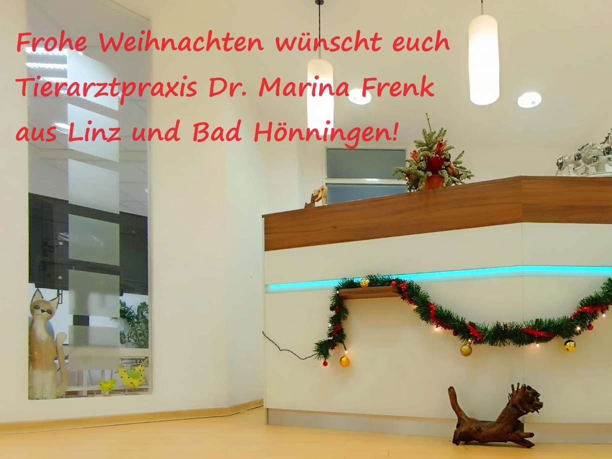 Ansicht 3 von Tierarztpraxis Dr. Marina Frenk, FTÄ für Tierchirurgie (PL)