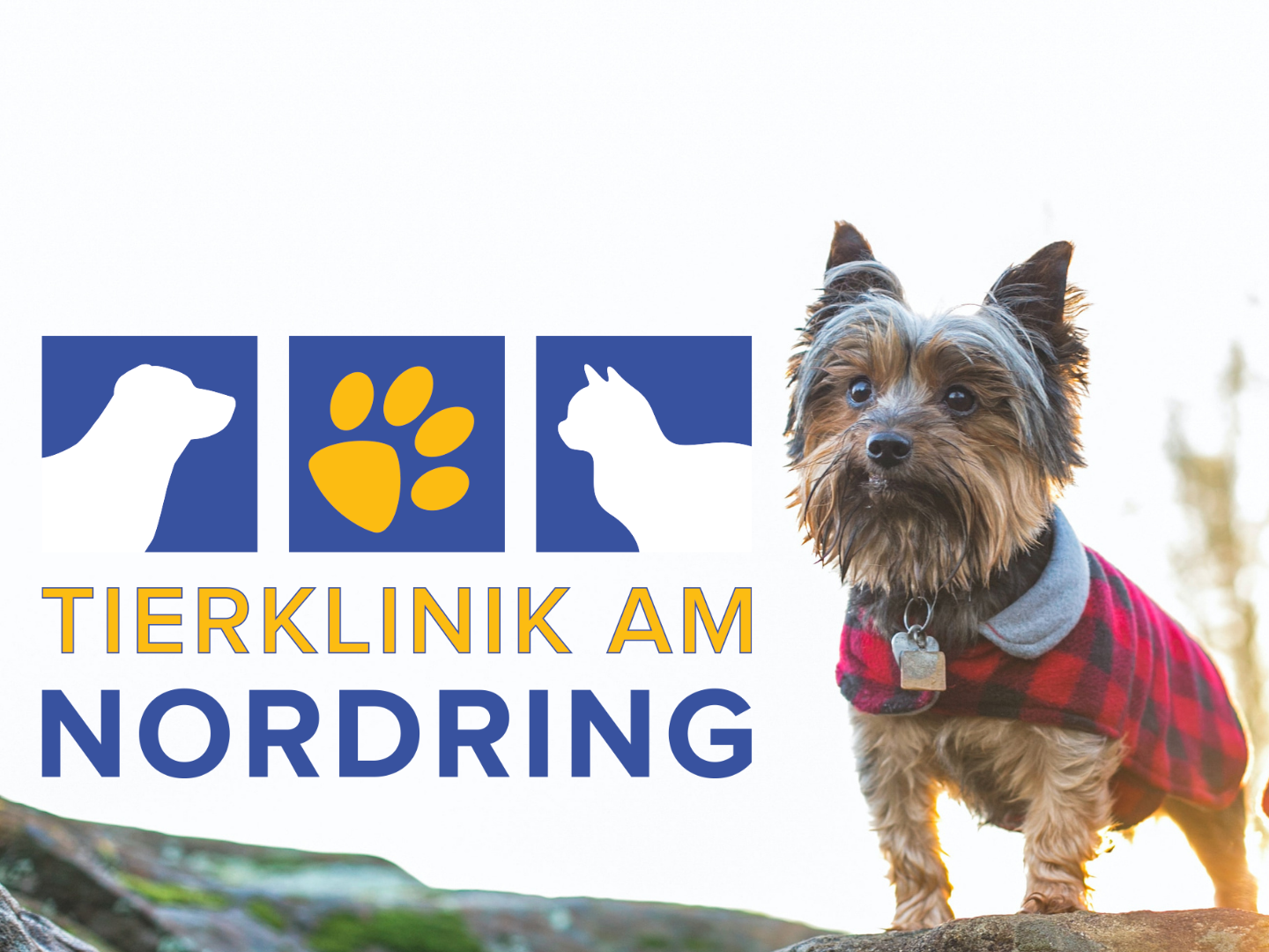 Ansicht 1 von Tierärzte am Nordring