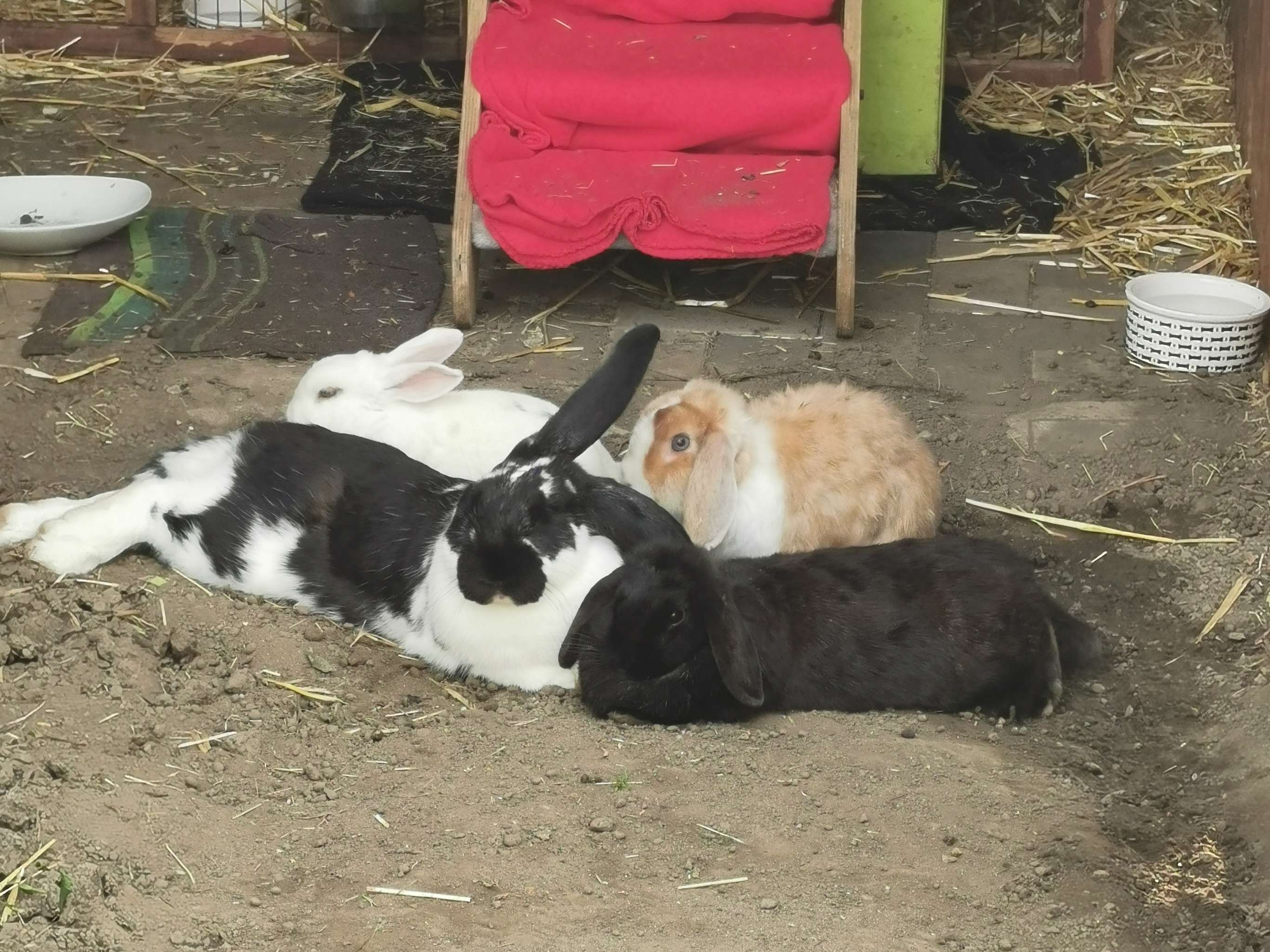 Ansicht 3 von Tierarztpraxis Schweigart