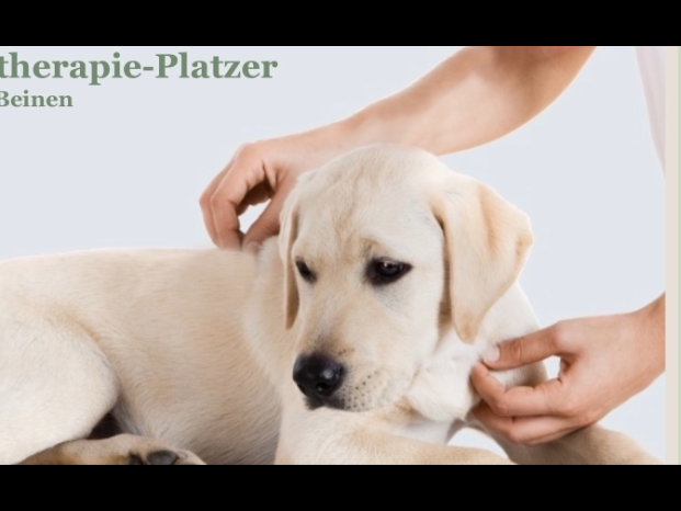 Ansicht 1 von Tierphysiotherapie-Platzer