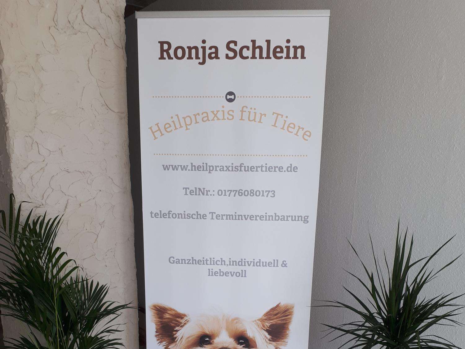 Ansicht 2 von Ronja Schlein Heilpraxis für Tiere