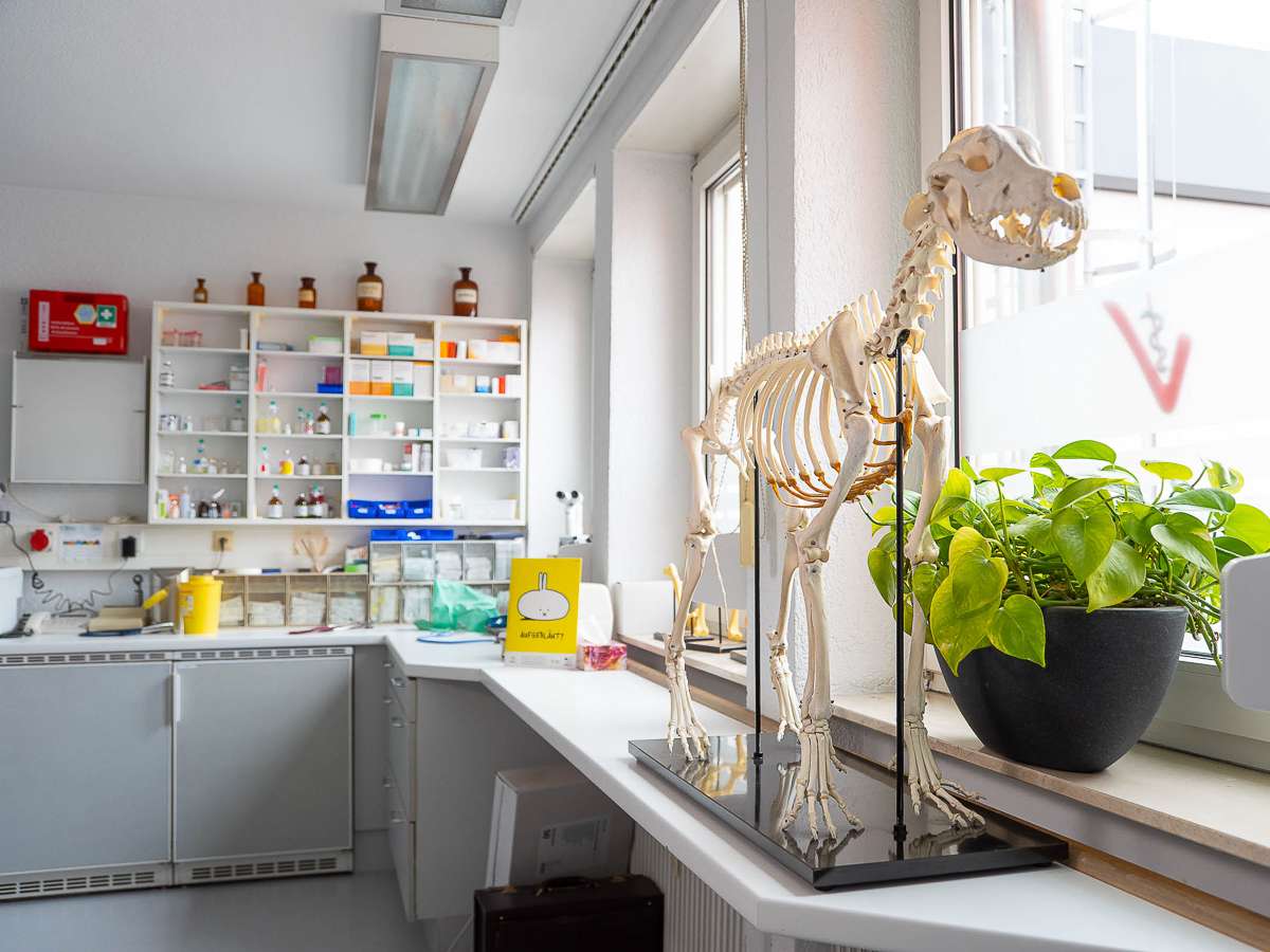 Ansicht 3 von Tierarzt Süß Ludwigshafen, Tierarztpraxis Dr. Süß