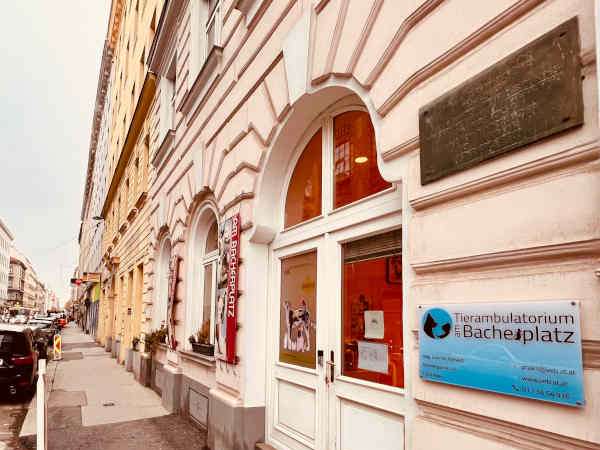 Ansicht 1 von Tierarztpraxis am Bacherplatz
