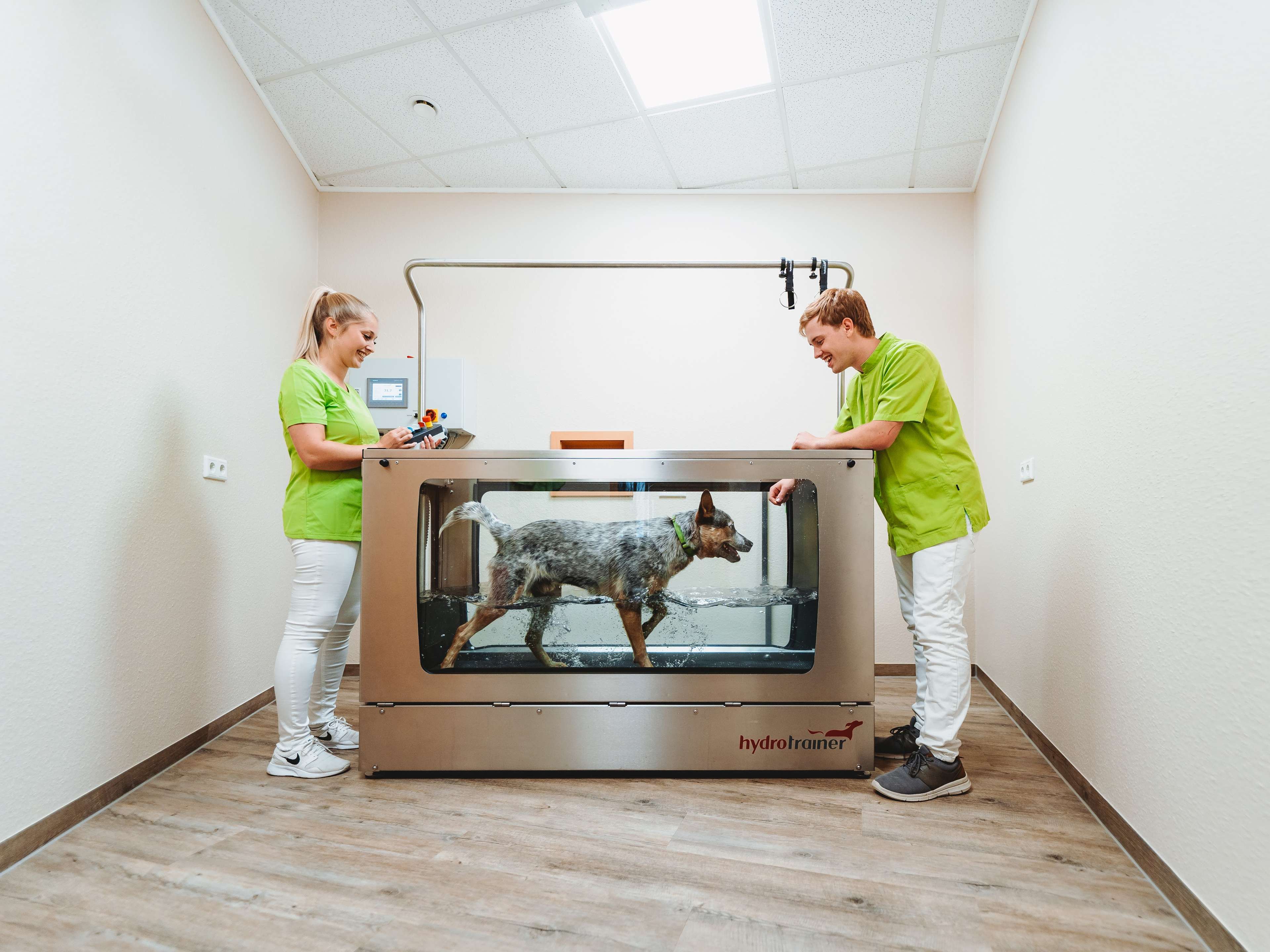 Ansicht 1 von Tiergesundheitszentrum am Rothaarsteig