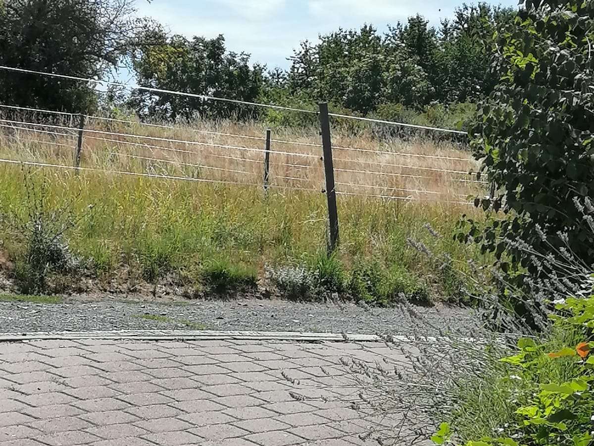 Ansicht 3 von Harald Wenzel Tierarzt