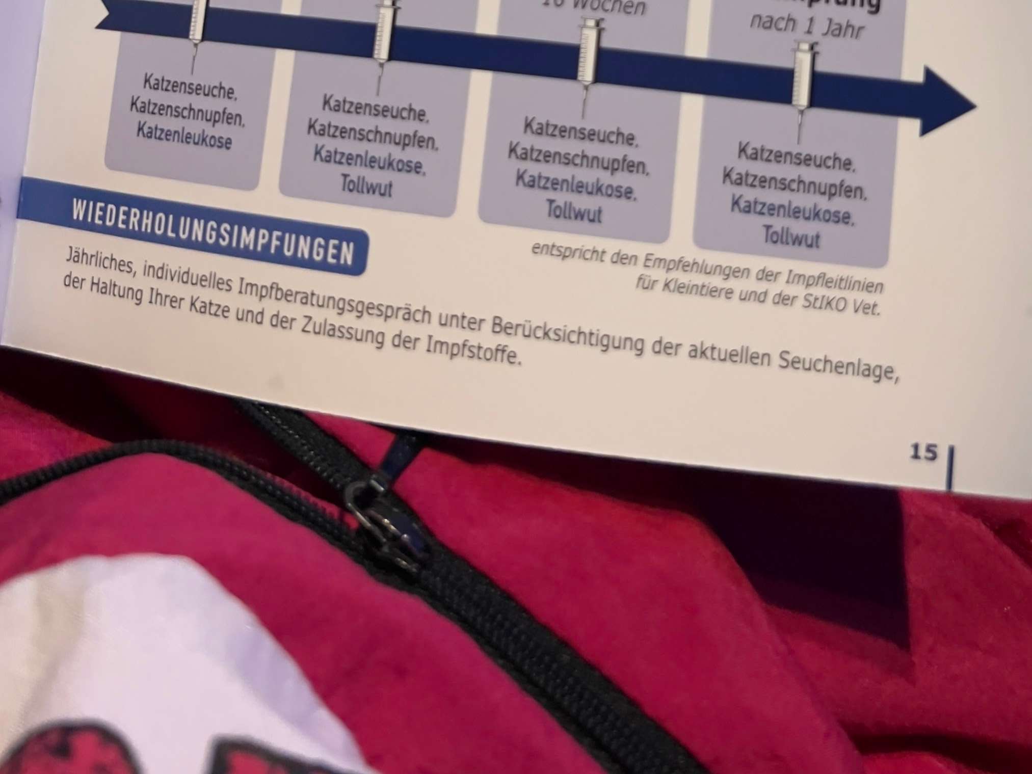 Ansicht 1 von Dipl-TA Dr. Julia Balcar