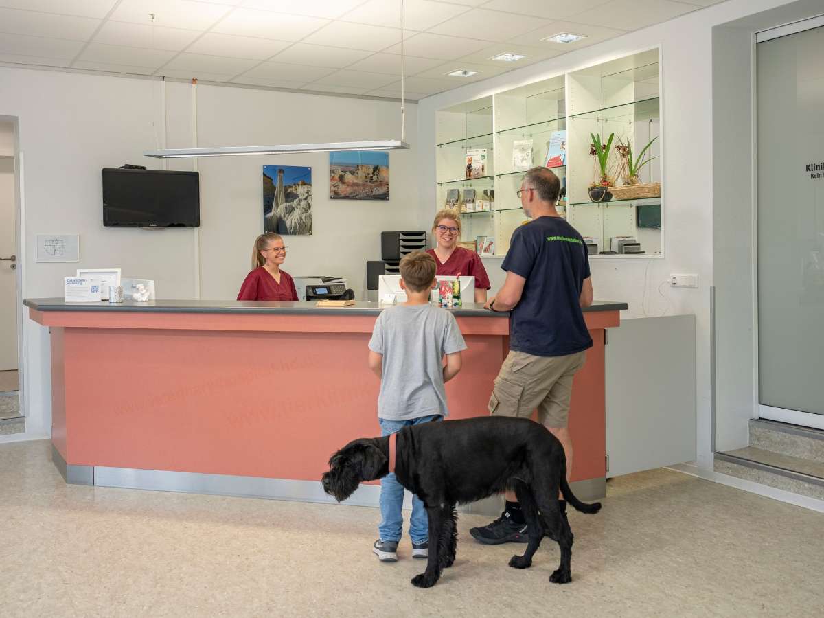 Ansicht 3 von Tierarzt Heidelberg, Tierärztliches Zentrum an der Feuerwache