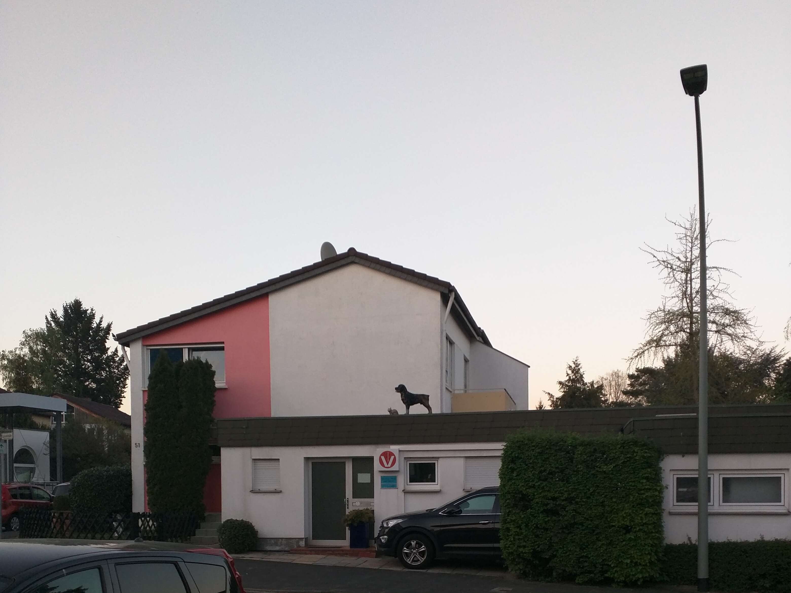 Ansicht 2 von Yvonne Ilieff Tierärztin