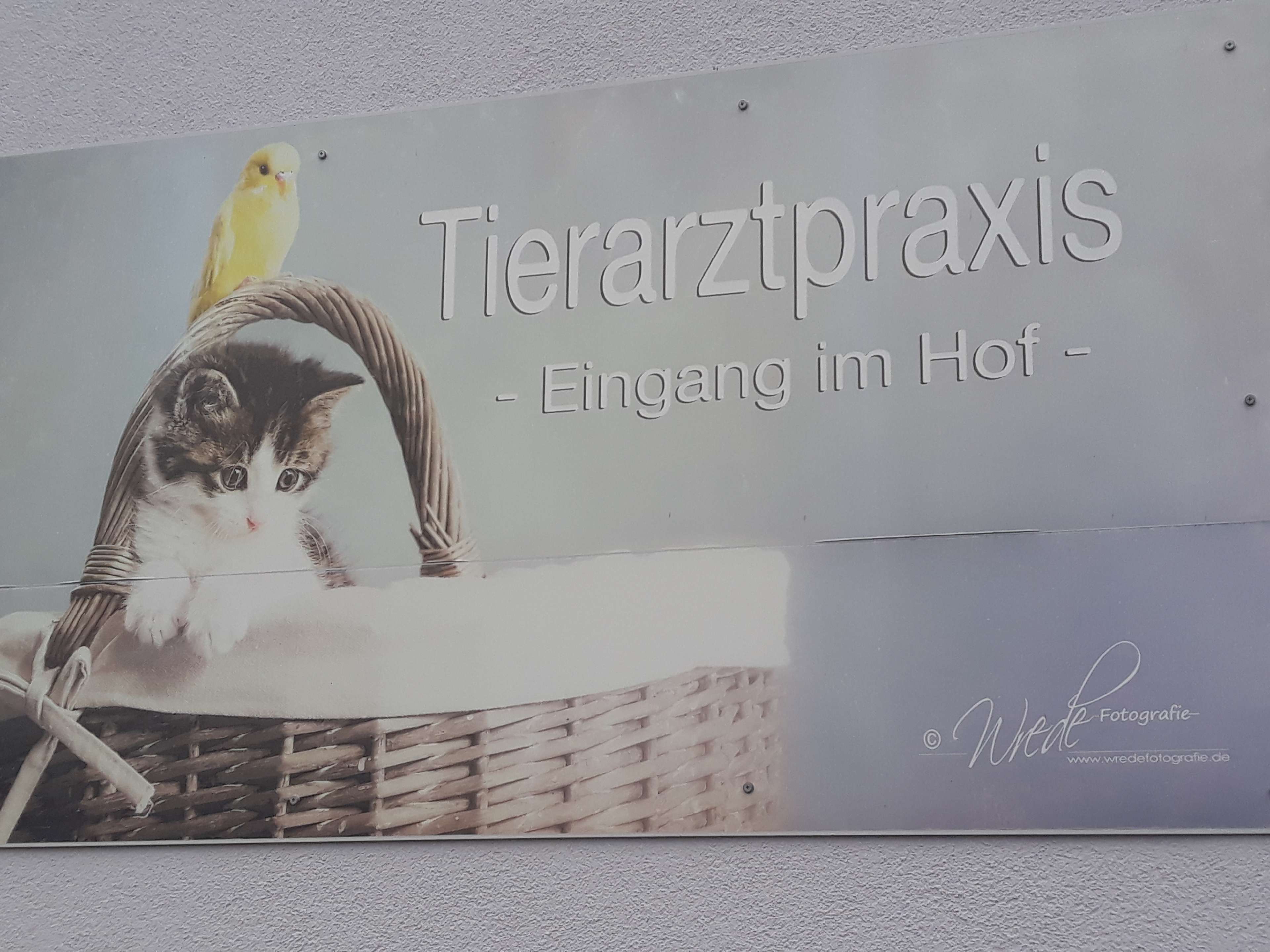 Ansicht 3 von Anne Gruhne