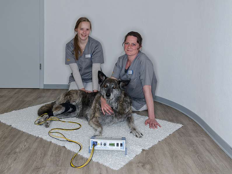 Ansicht 3 von Kleintierpraxis Susanne Buscher