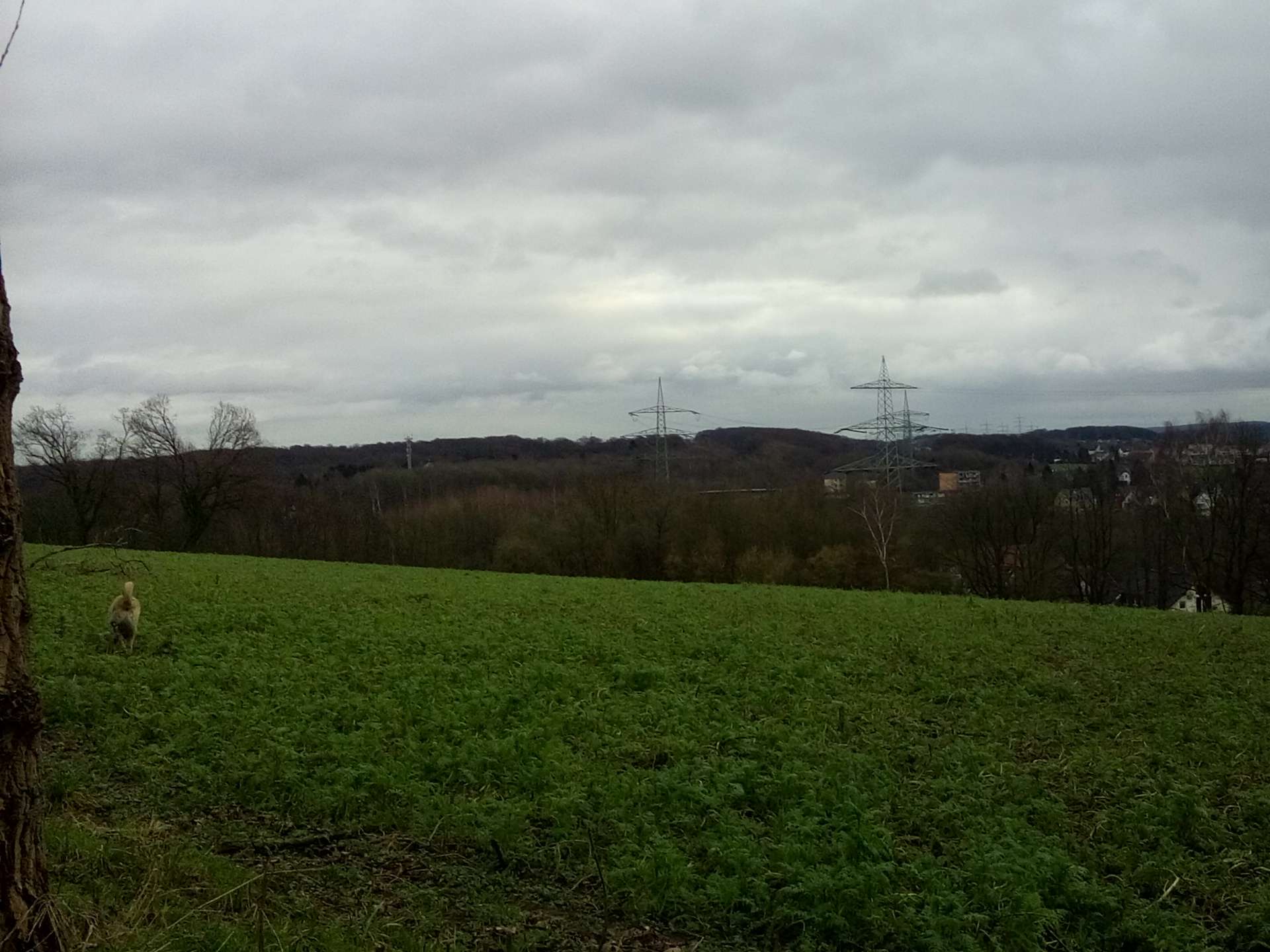 View 1 of Gemeinschaftspraxis Dr. Große Lembeck