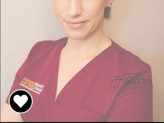 Ansicht 1 von Hunde & Katzen Tierarztpraxis - DI.Mag.Dr. Veronika Bauer BSc.