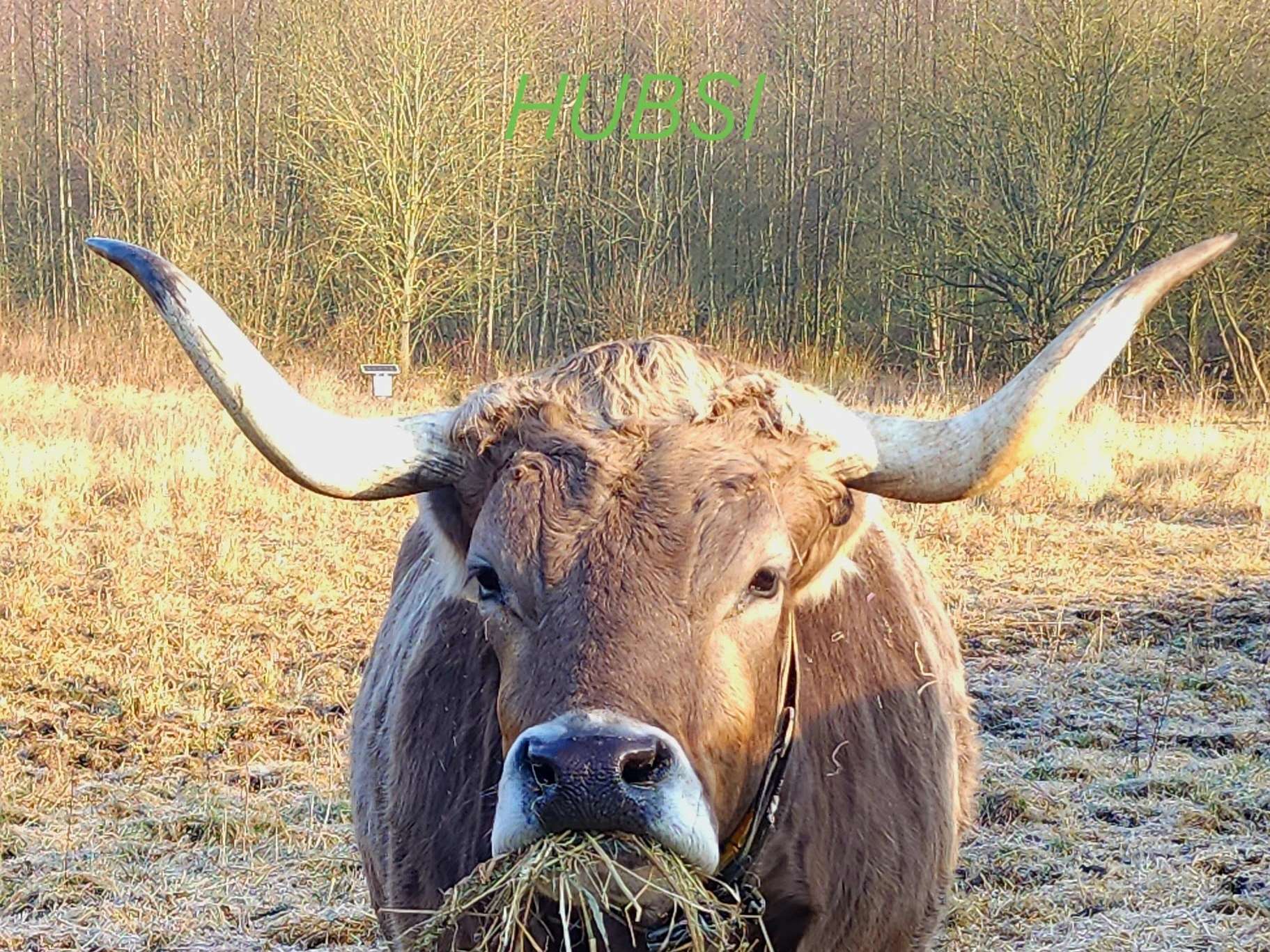 Ansicht 3 von Tierarztpraxis Monika Böcker