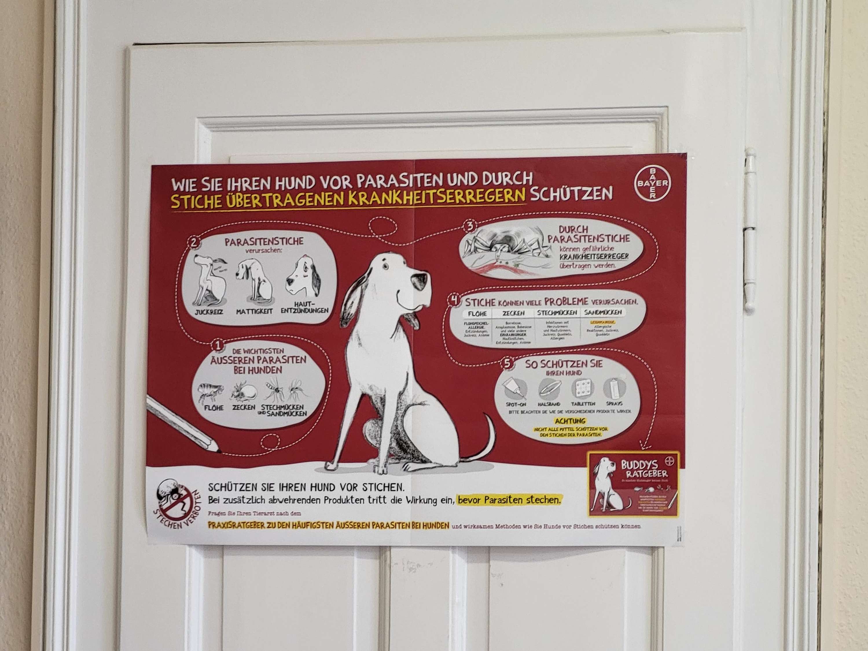 Ansicht 3 von Kleintierpraxis Bad Nenndorf