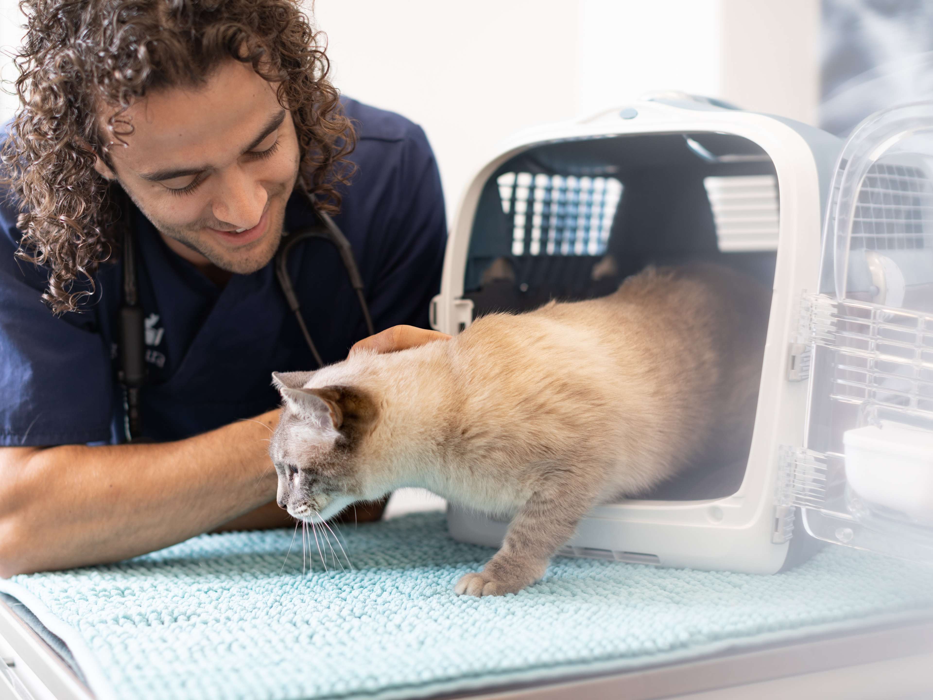 Ansicht 1 von AniCura Tierklinik Trier