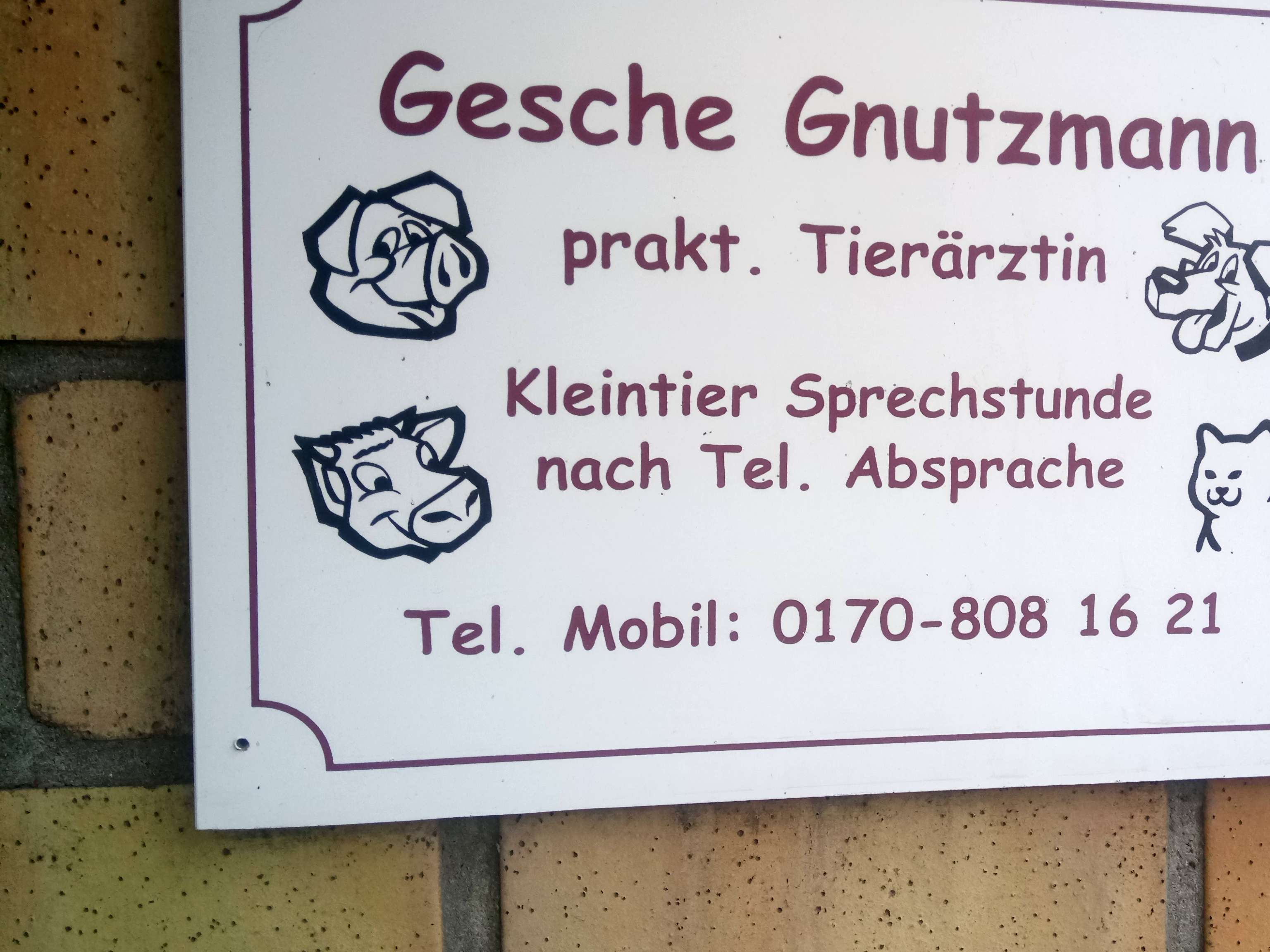 Ansicht 1 von Gesche Gnutzmann Tierärztin