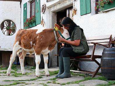 Ansicht 3 von Mobile Tierheilpraxis Claudia Miklos-Hofmann