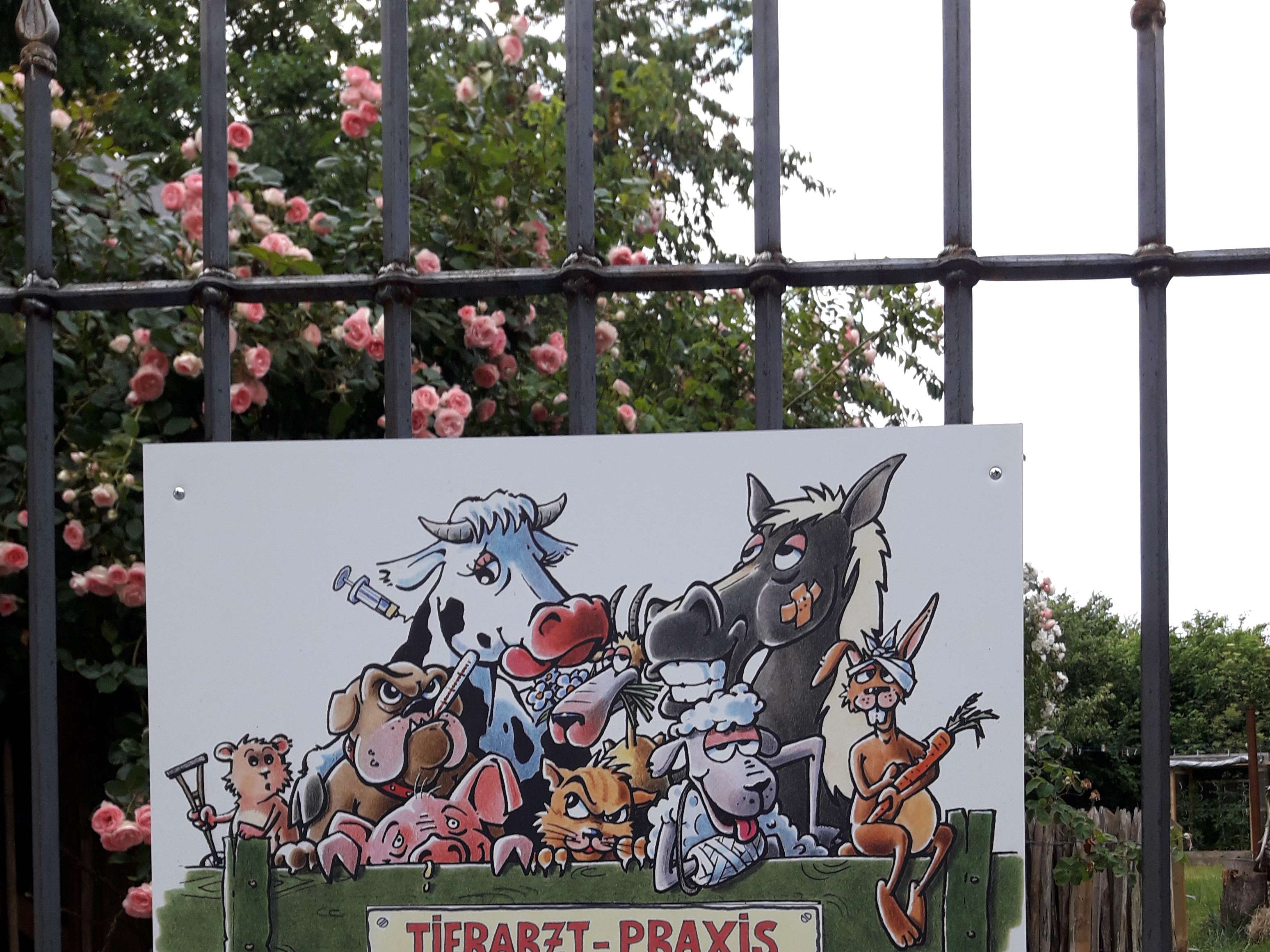 Ansicht 2 von Tierarztpraxis Andreas Rasberger