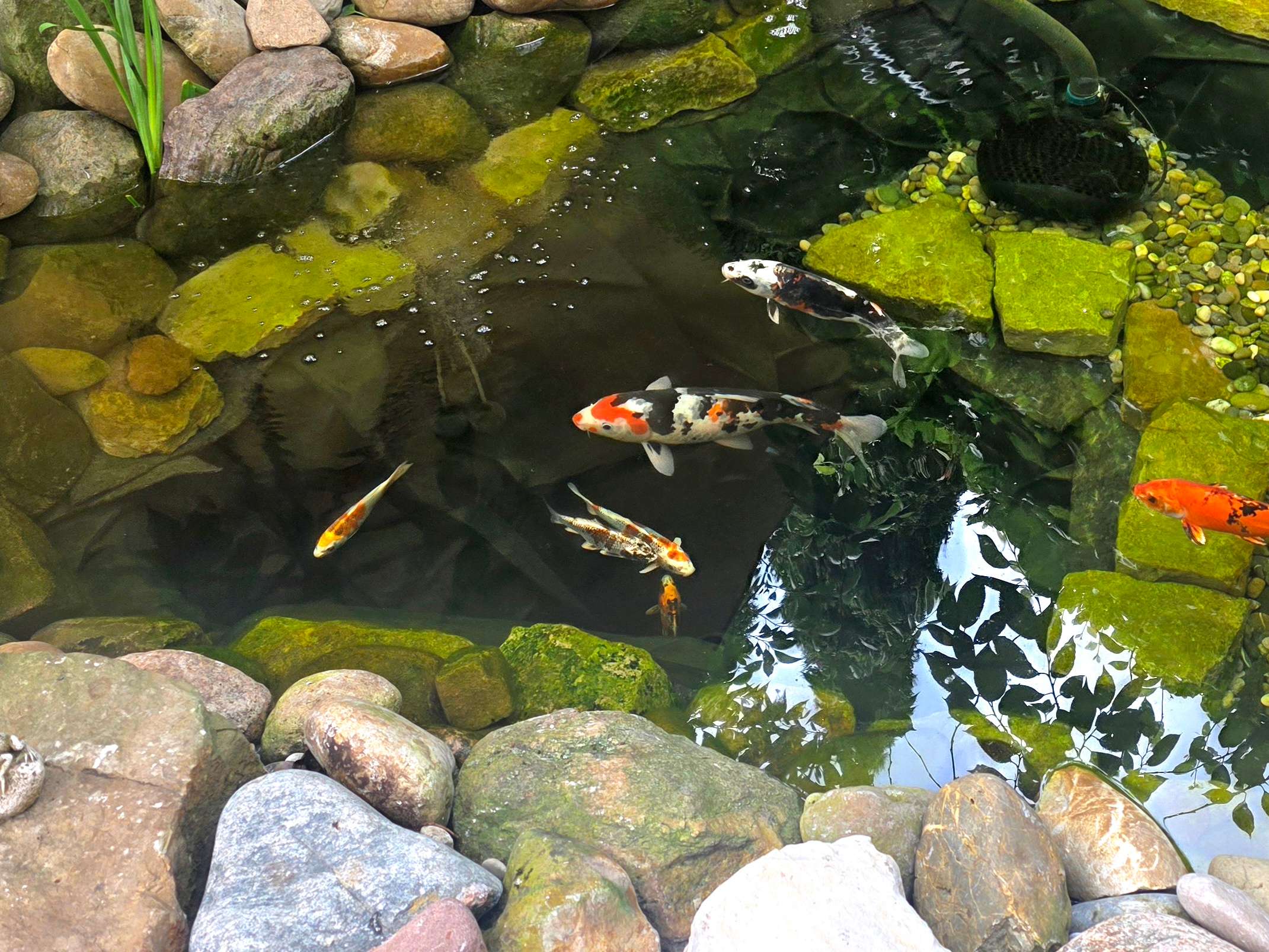 Ansicht 1 von Tierärztliche Praxis für Fische