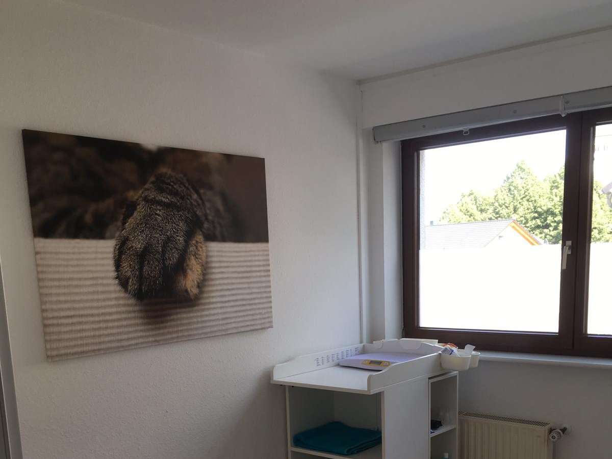 Ansicht 1 von Hund Katze Haut - Königswinter