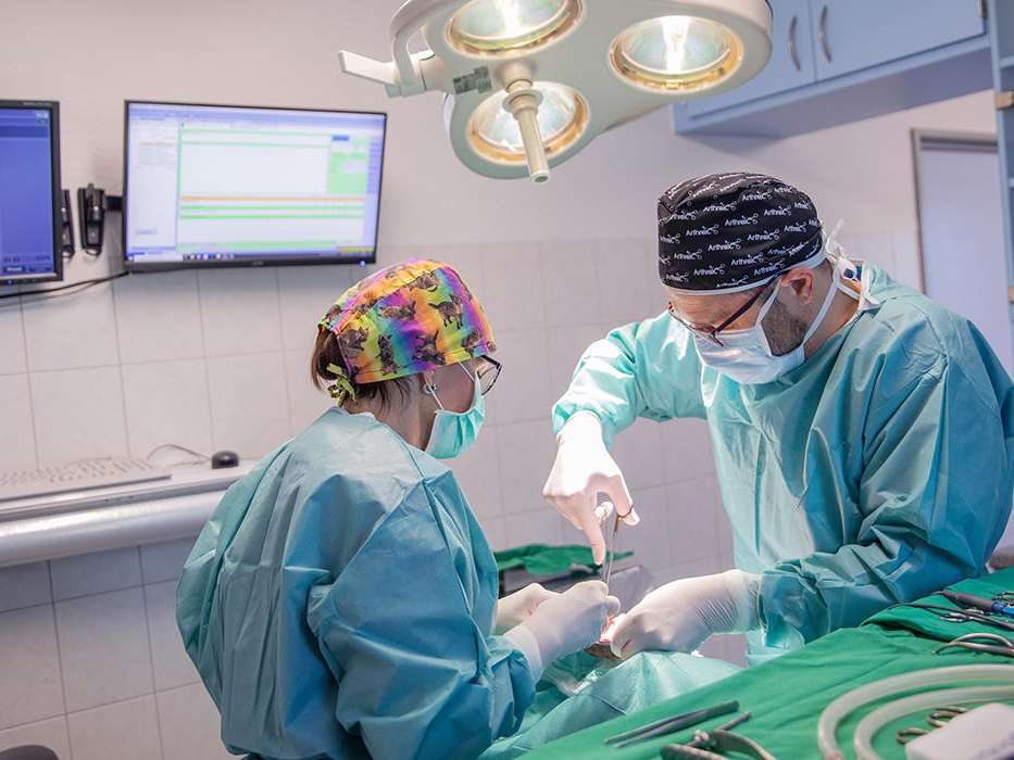 Ansicht 2 von Kleintierzentrum am Schmelzbach Fachpraxis für Kleintiermedizin