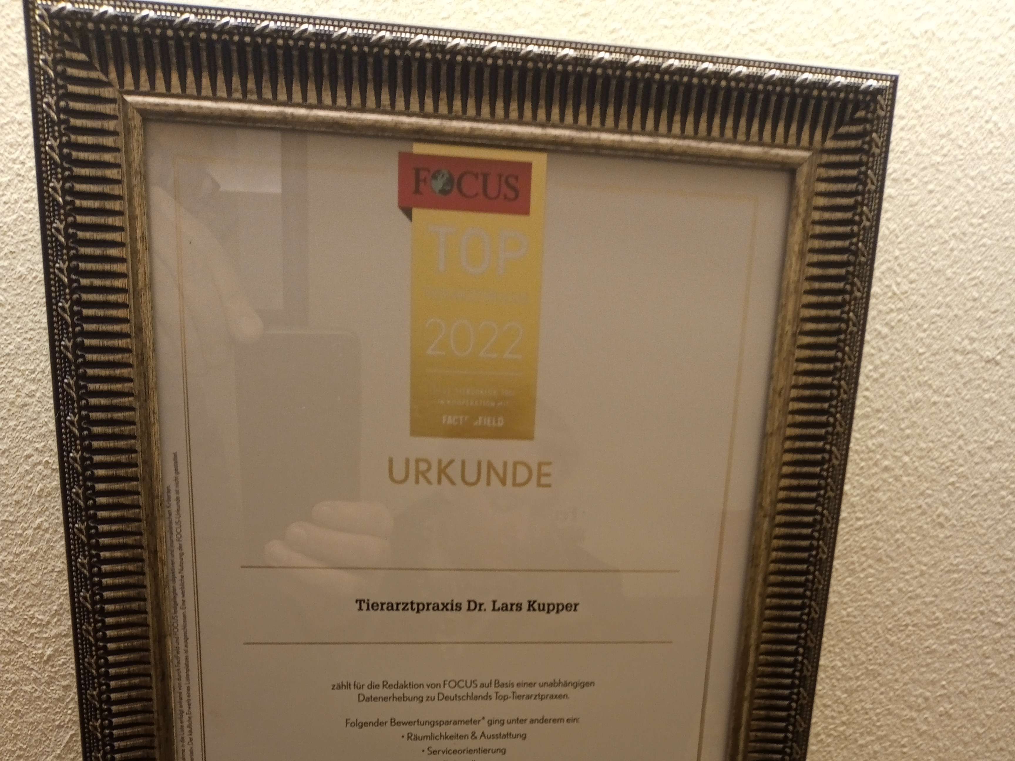 Ansicht 3 von Dipl.Med.Vet. Lars Kupper Tierarzt