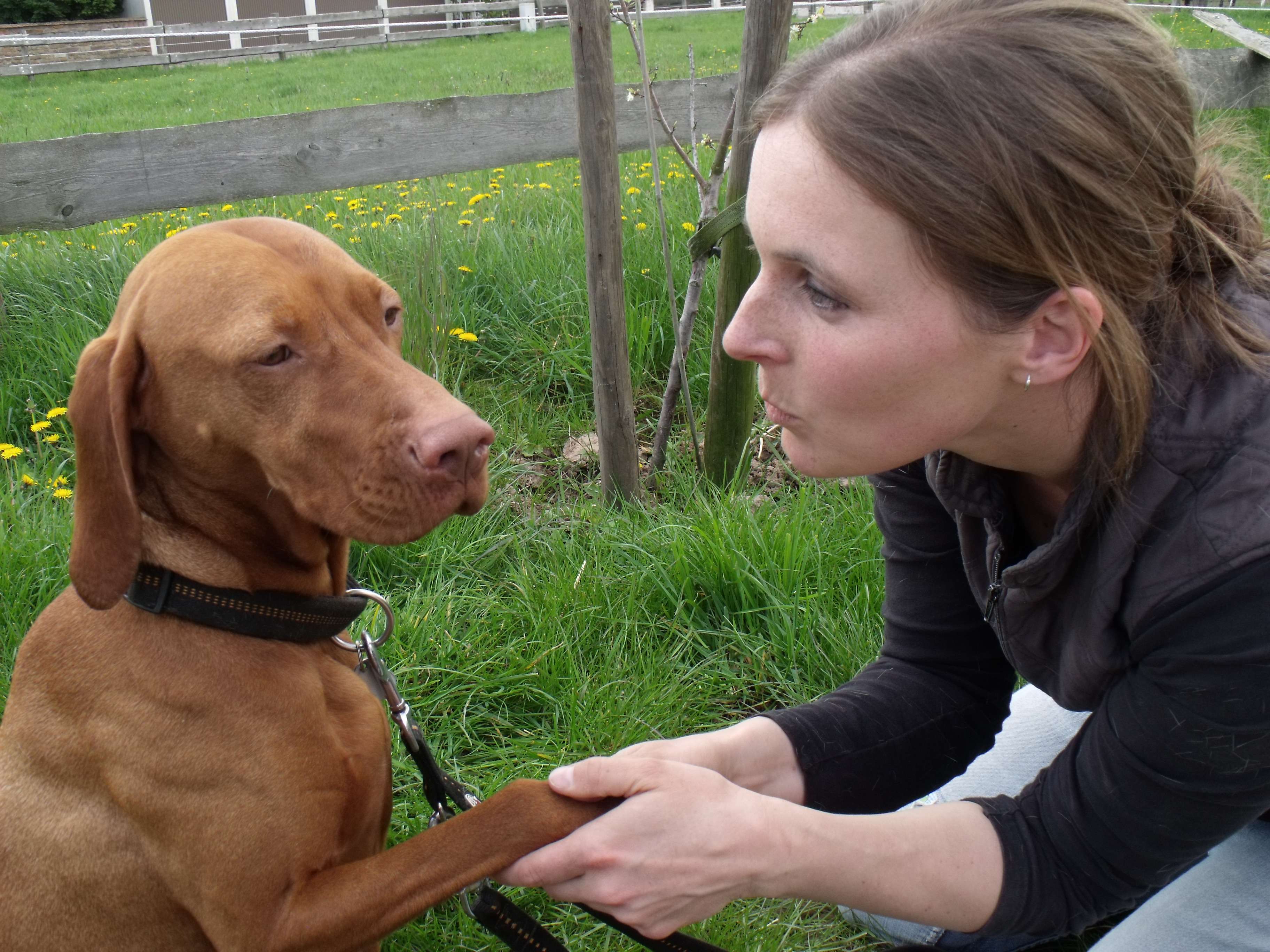 Ansicht 1 von Tierarztpraxis Uta Bunge - Praxis für Veterinärchiropraktik